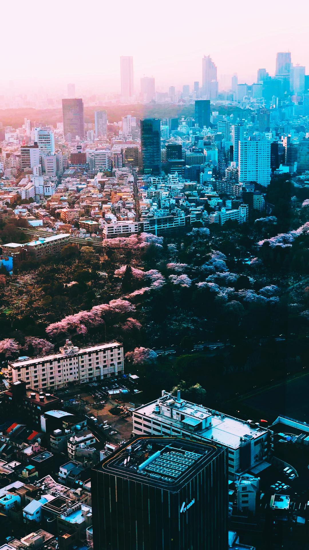 Image for post 1522226678