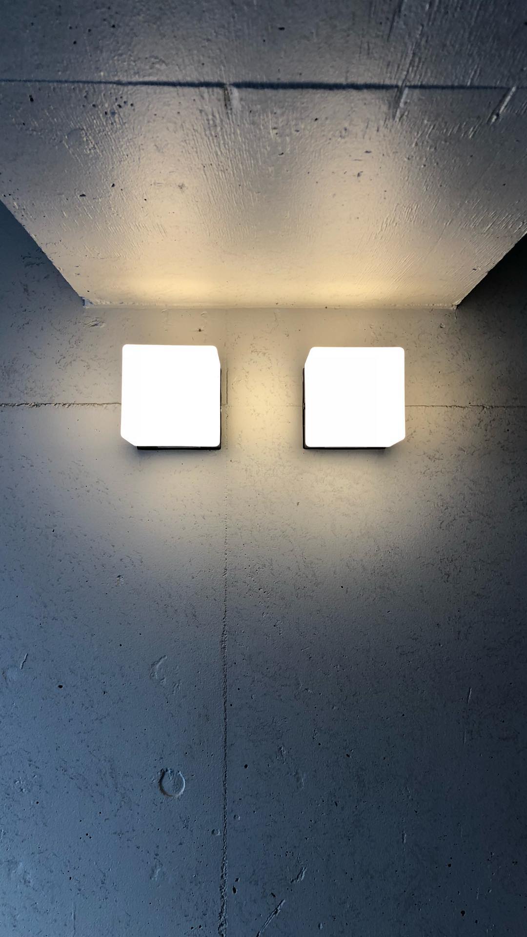 Image for post 1526823854