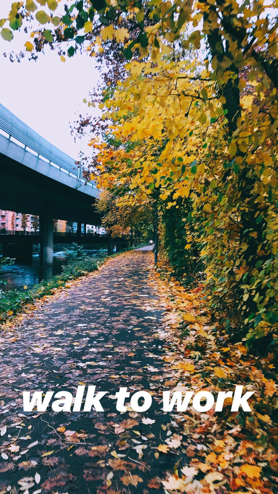 Image for post 1542146181