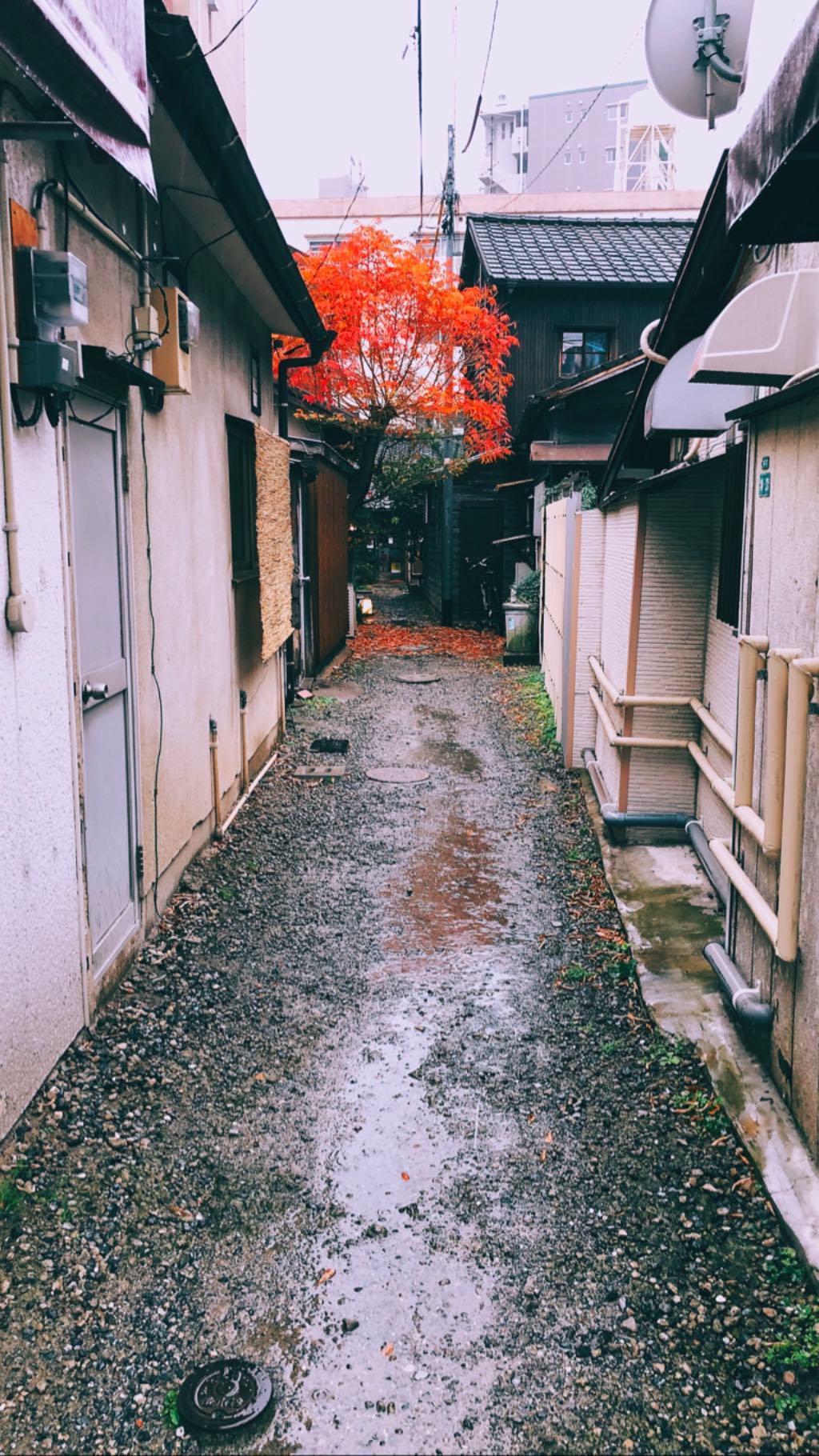 Image for post 1545575914