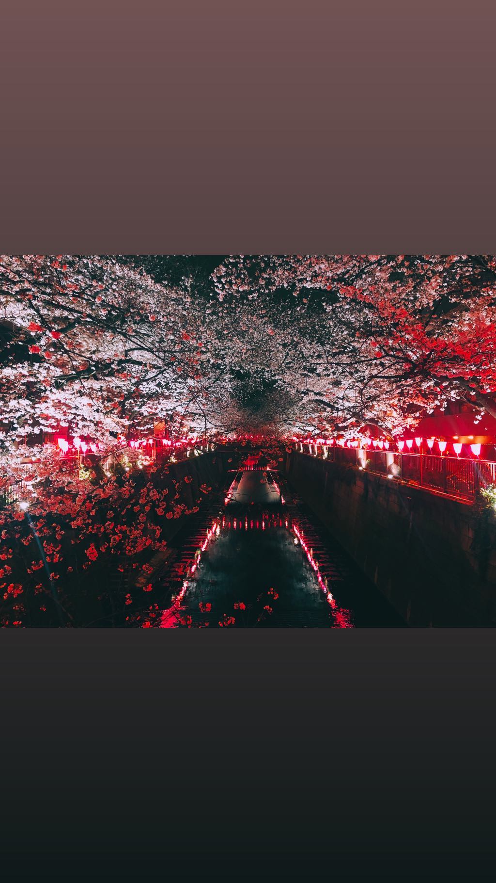 Image for post 1553776850