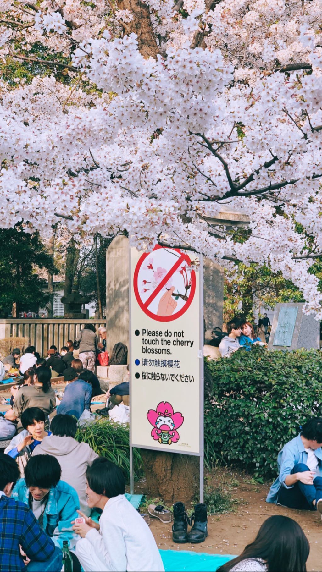 Image for post 1554540195