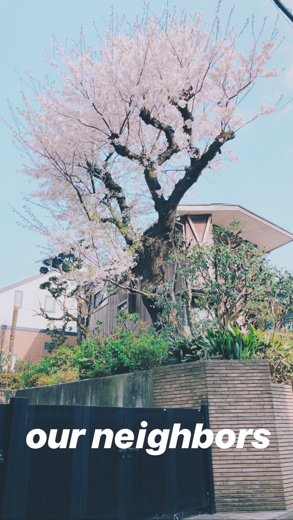 Image for post 1554531670