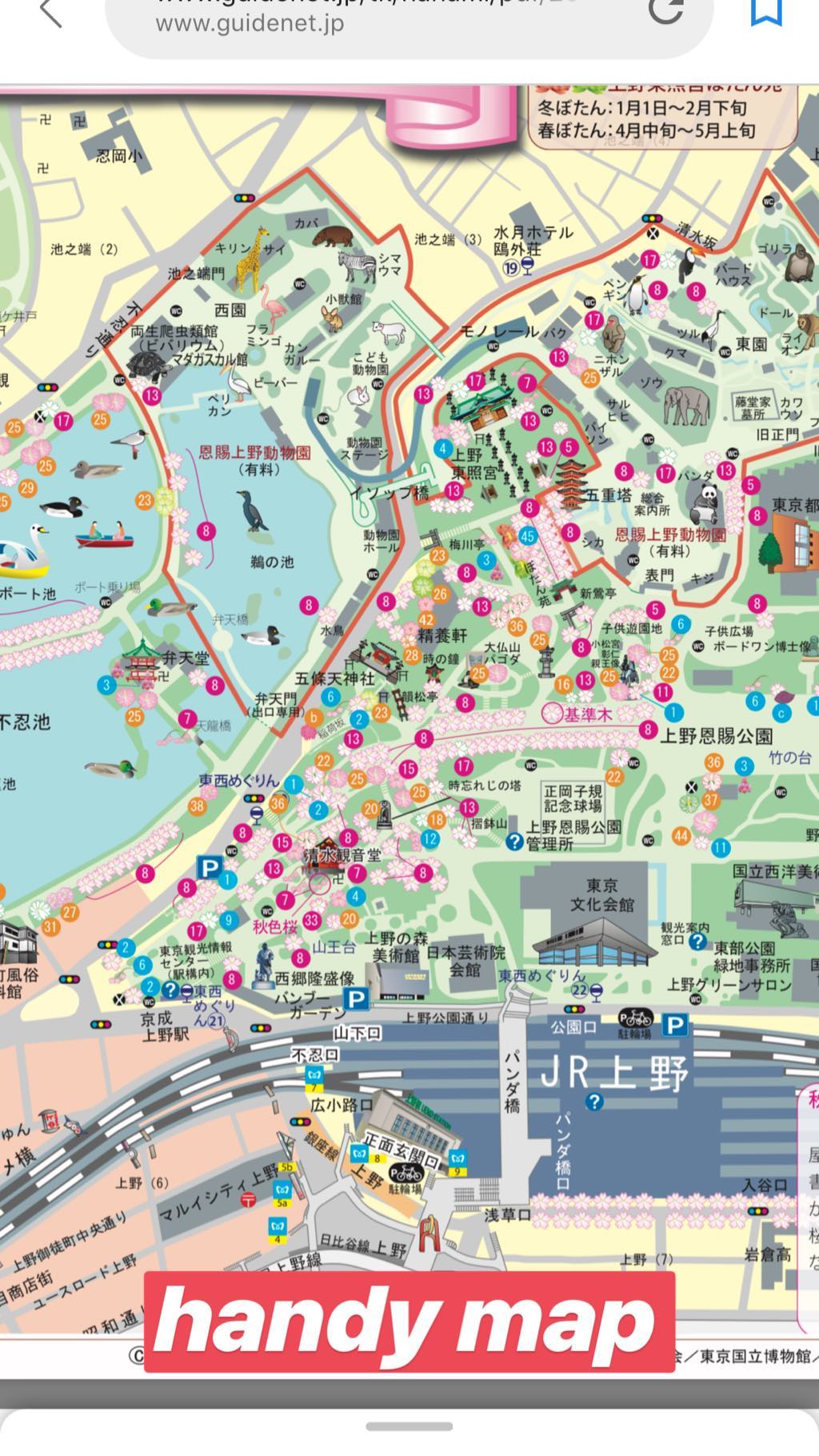 Image for post 1554547431