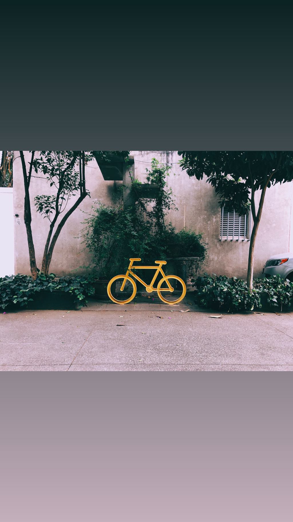 Image for post 1556686697