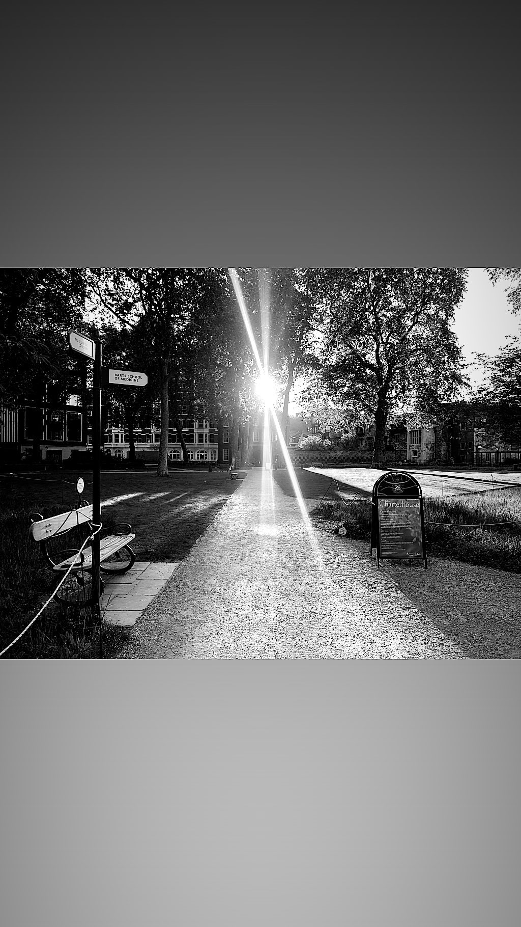 Image for post 1558043083