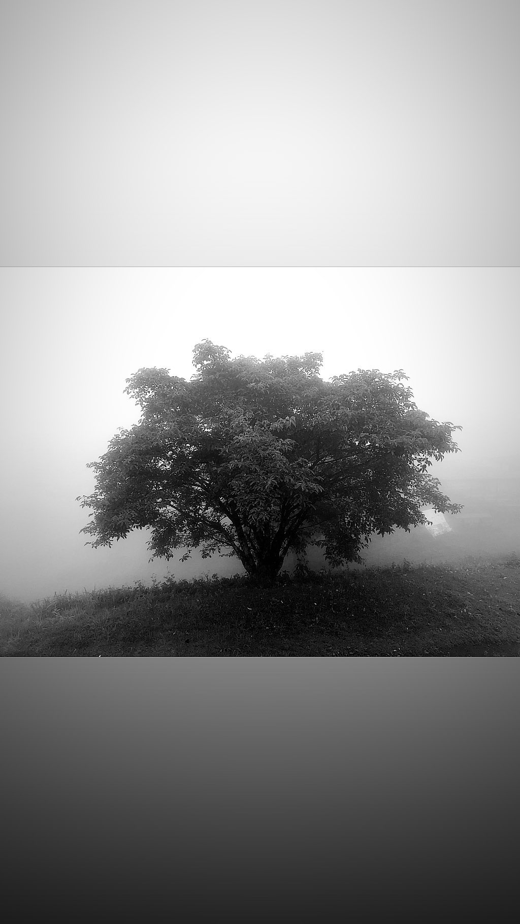 Image for post 1561797730
