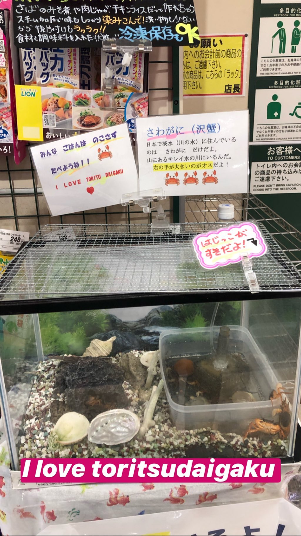 Image for post 1567956529