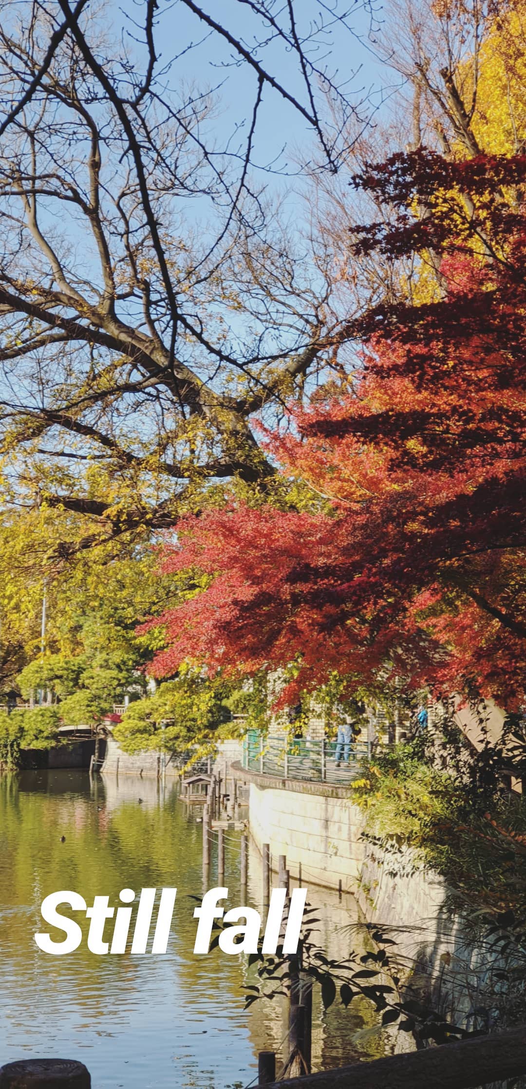 Image for post 1575782758