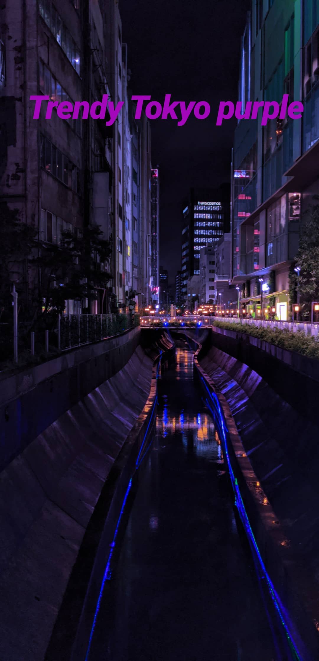 Image for post 1572011676