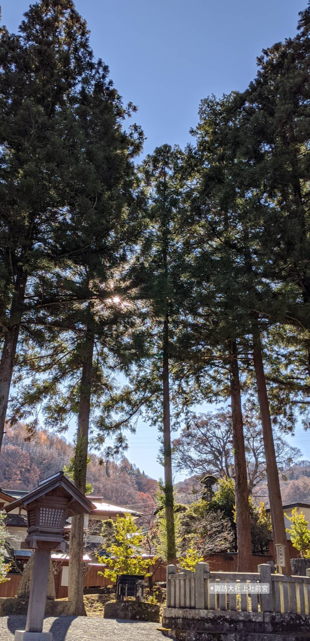Image for post 1575045691