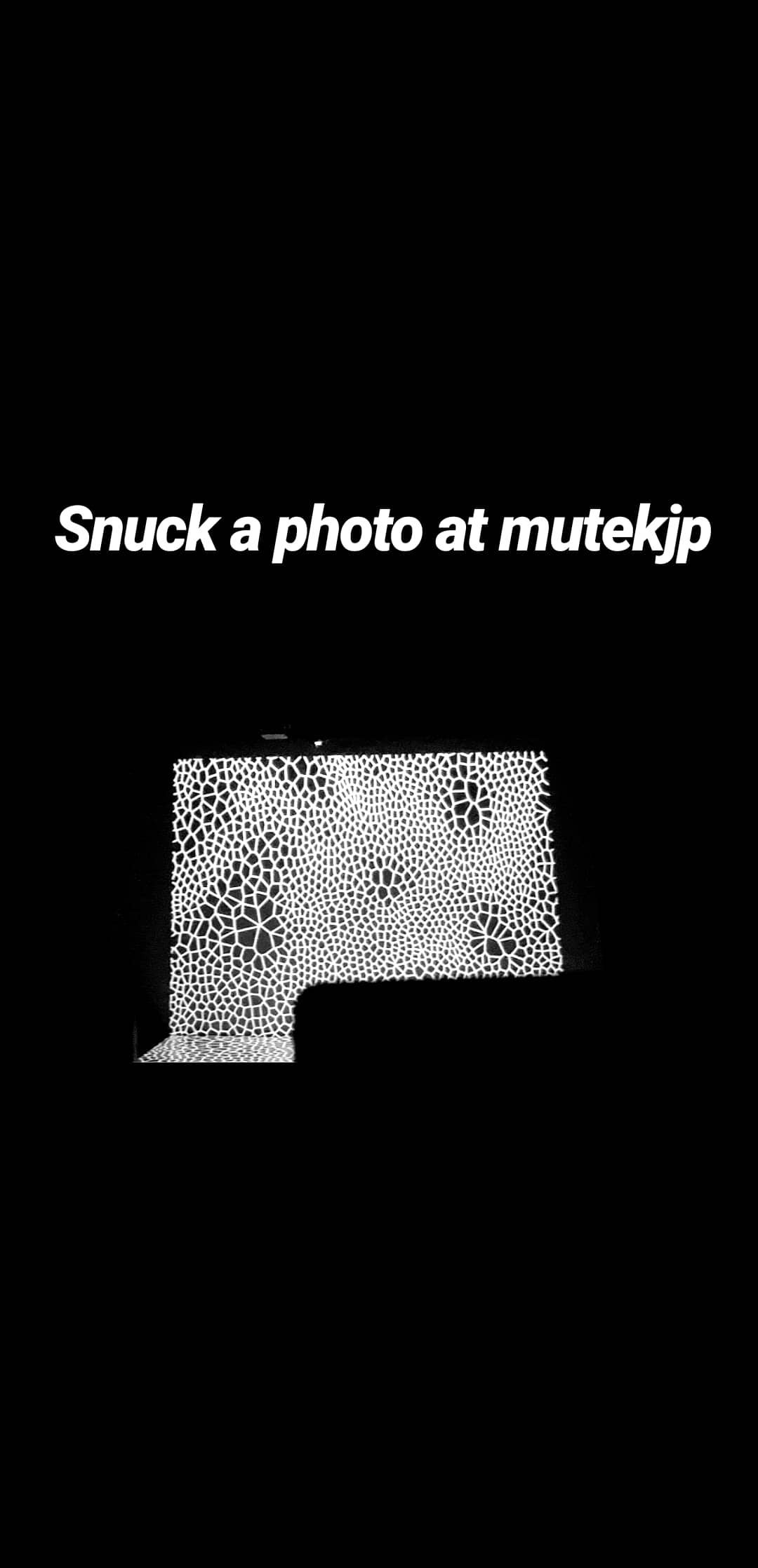 Image for post 1576406685