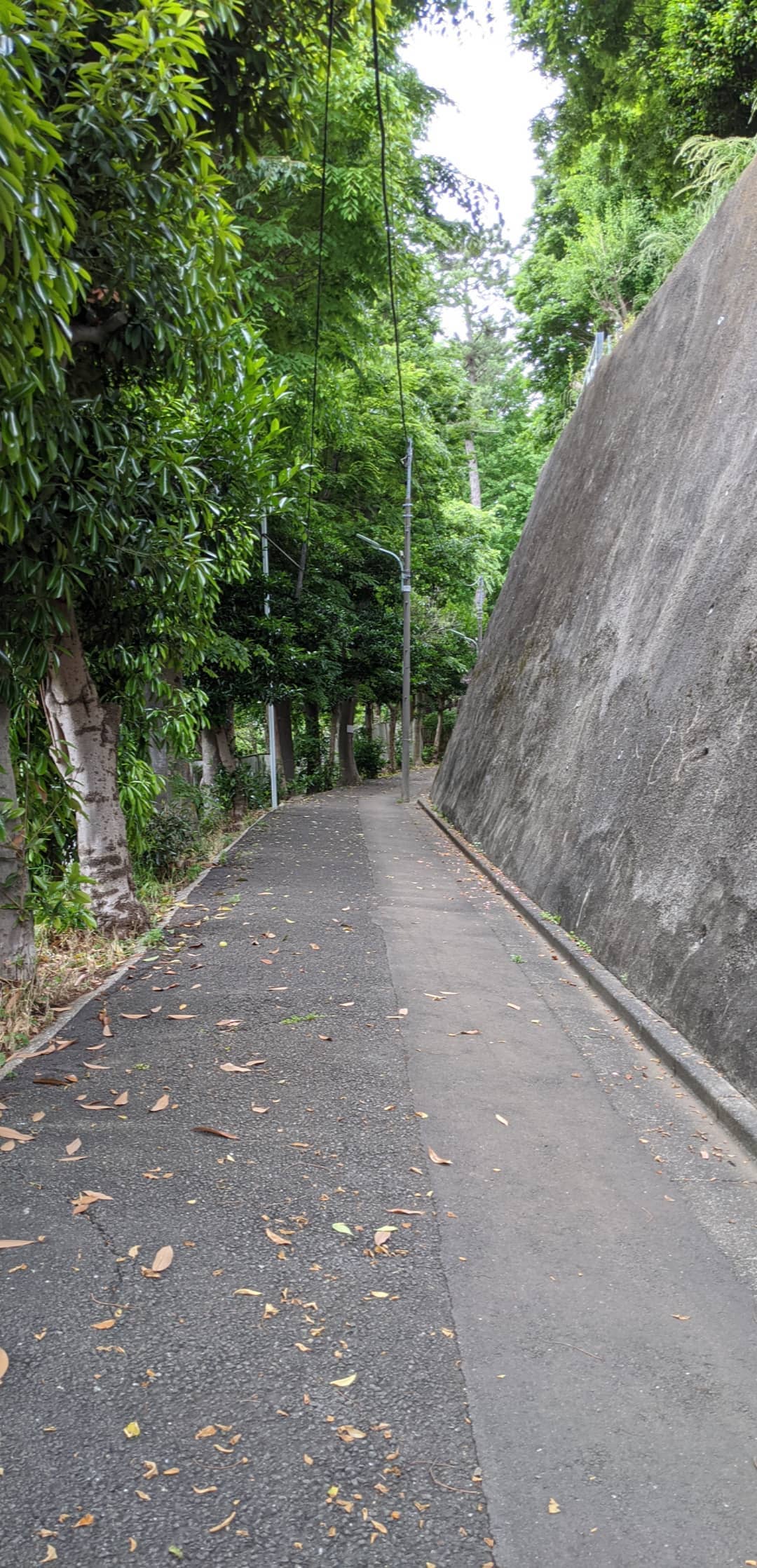Image for post 1590163134