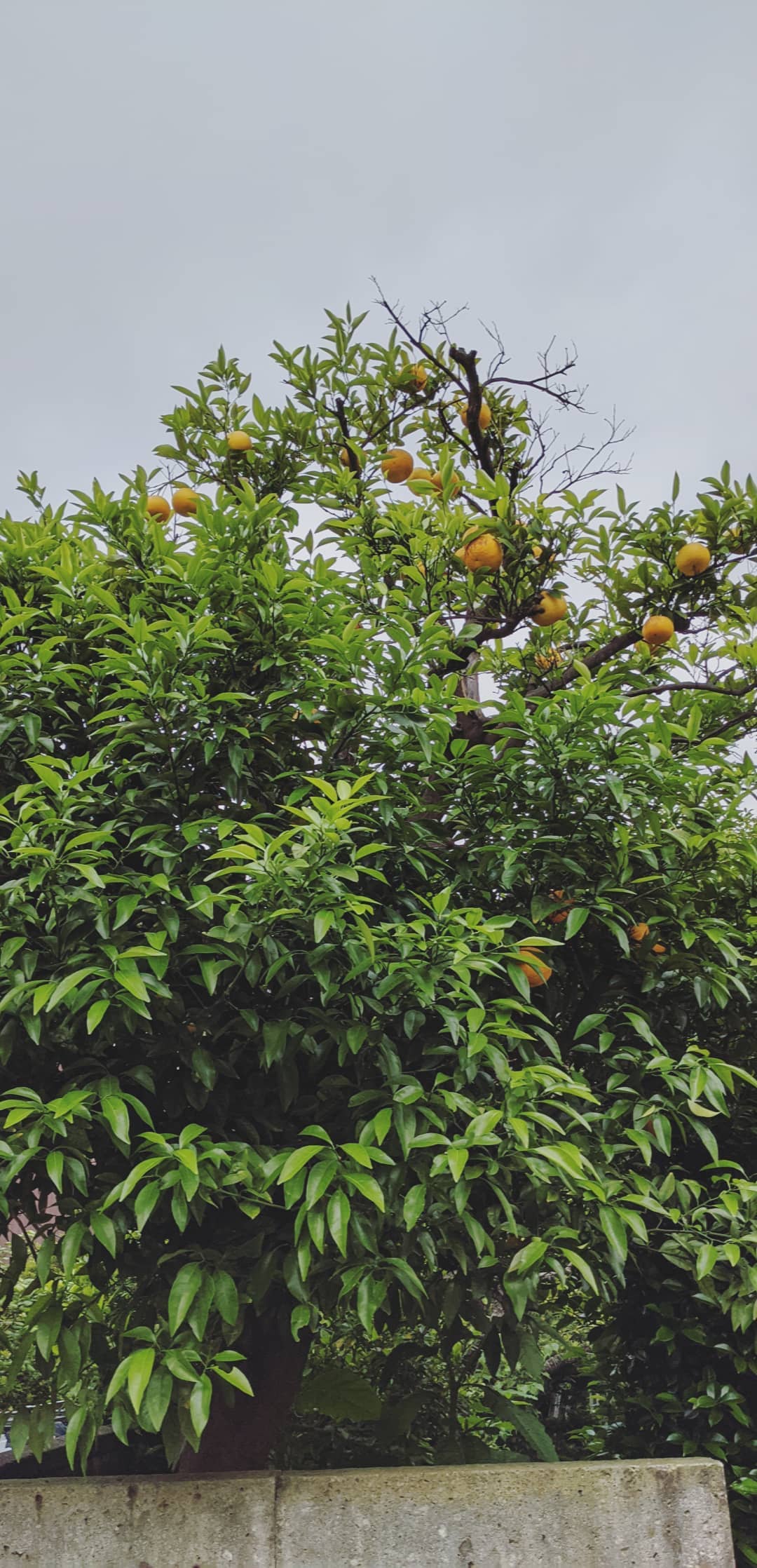 Image for post 1590162798