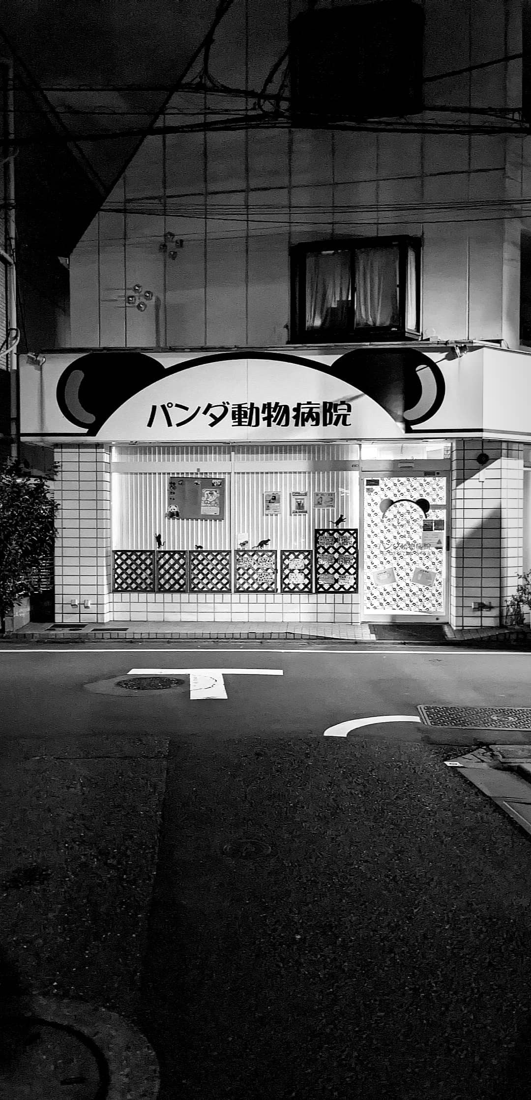 Image for post 1601541804