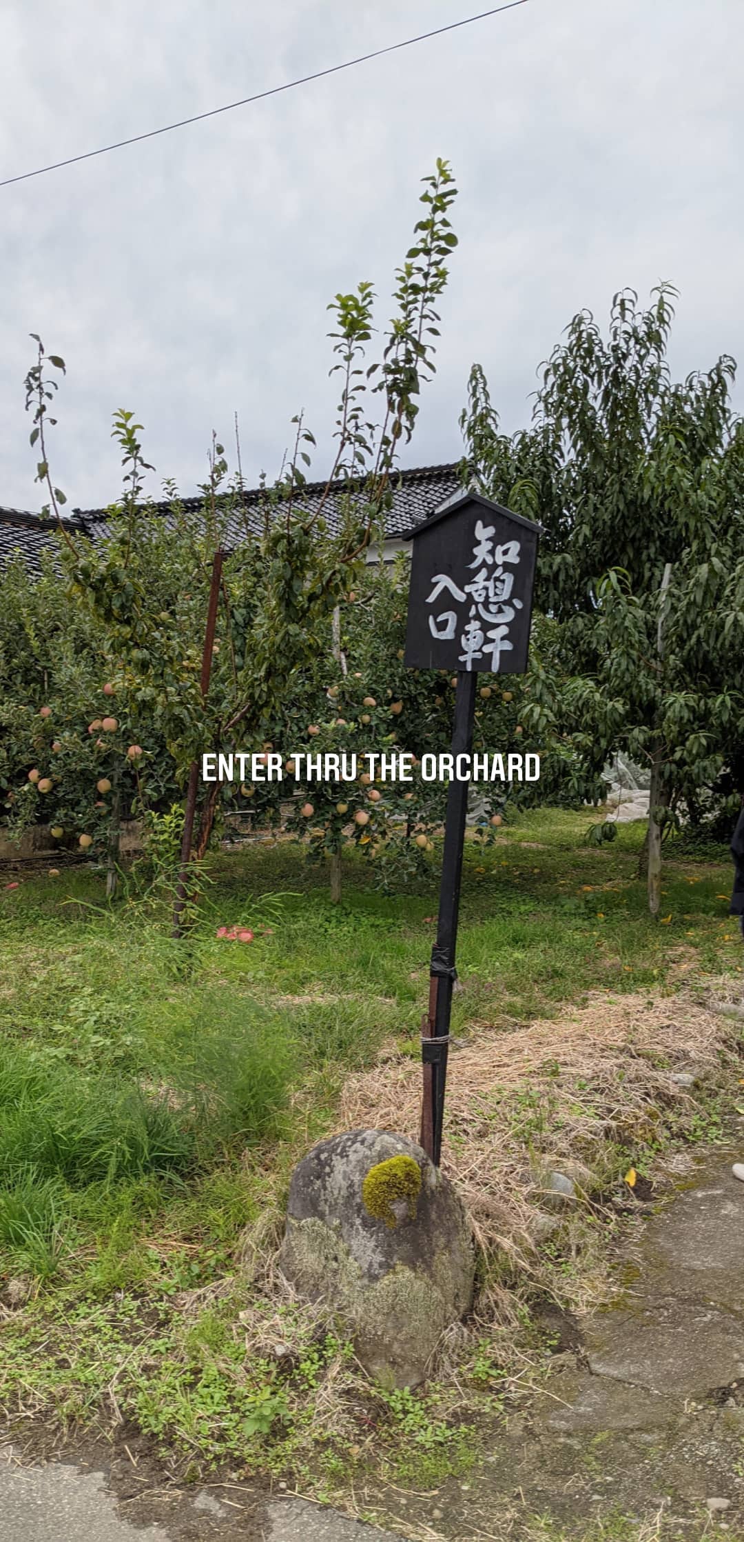 Image for post 1602171676