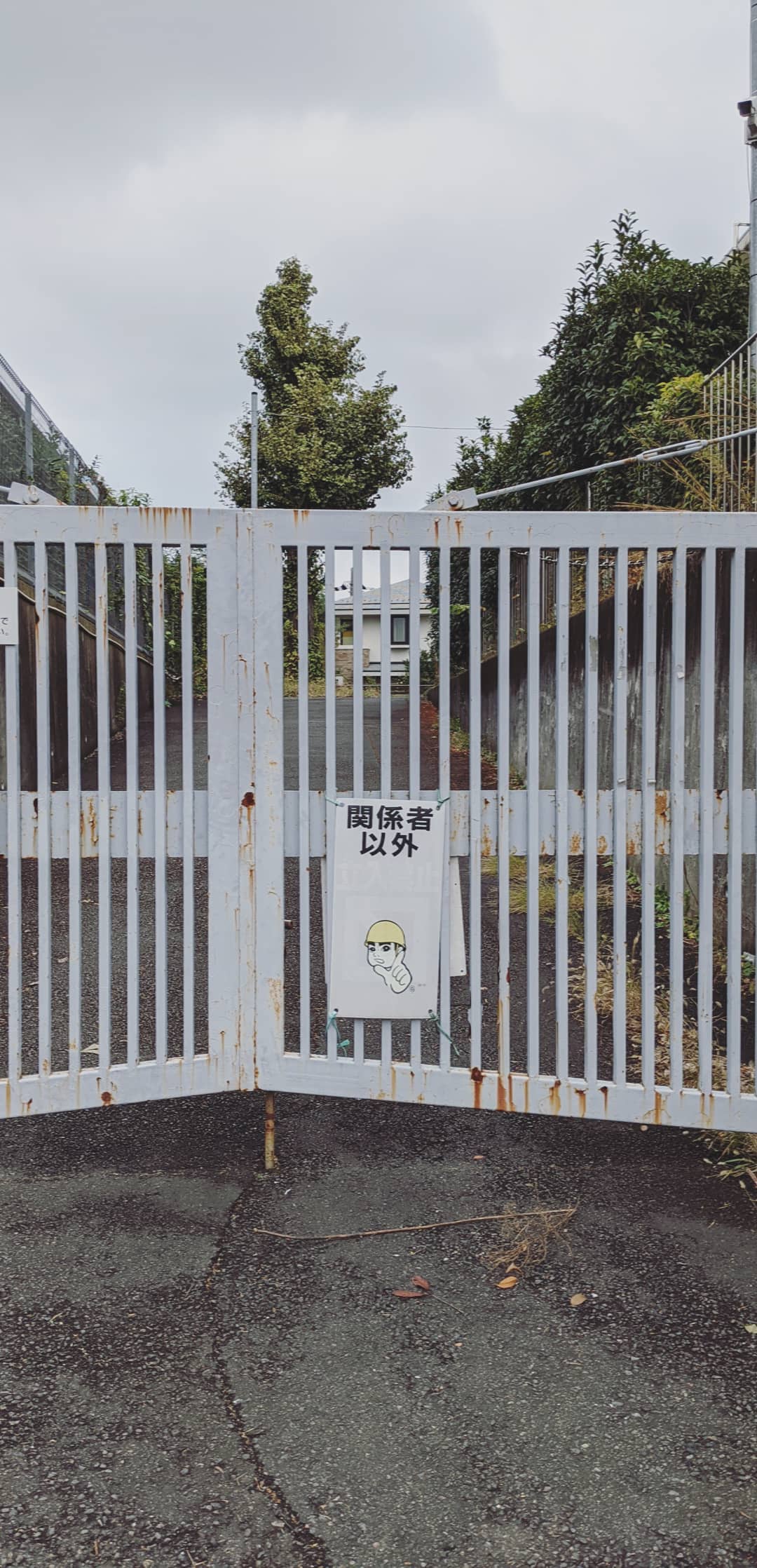 Image for post 1604404083
