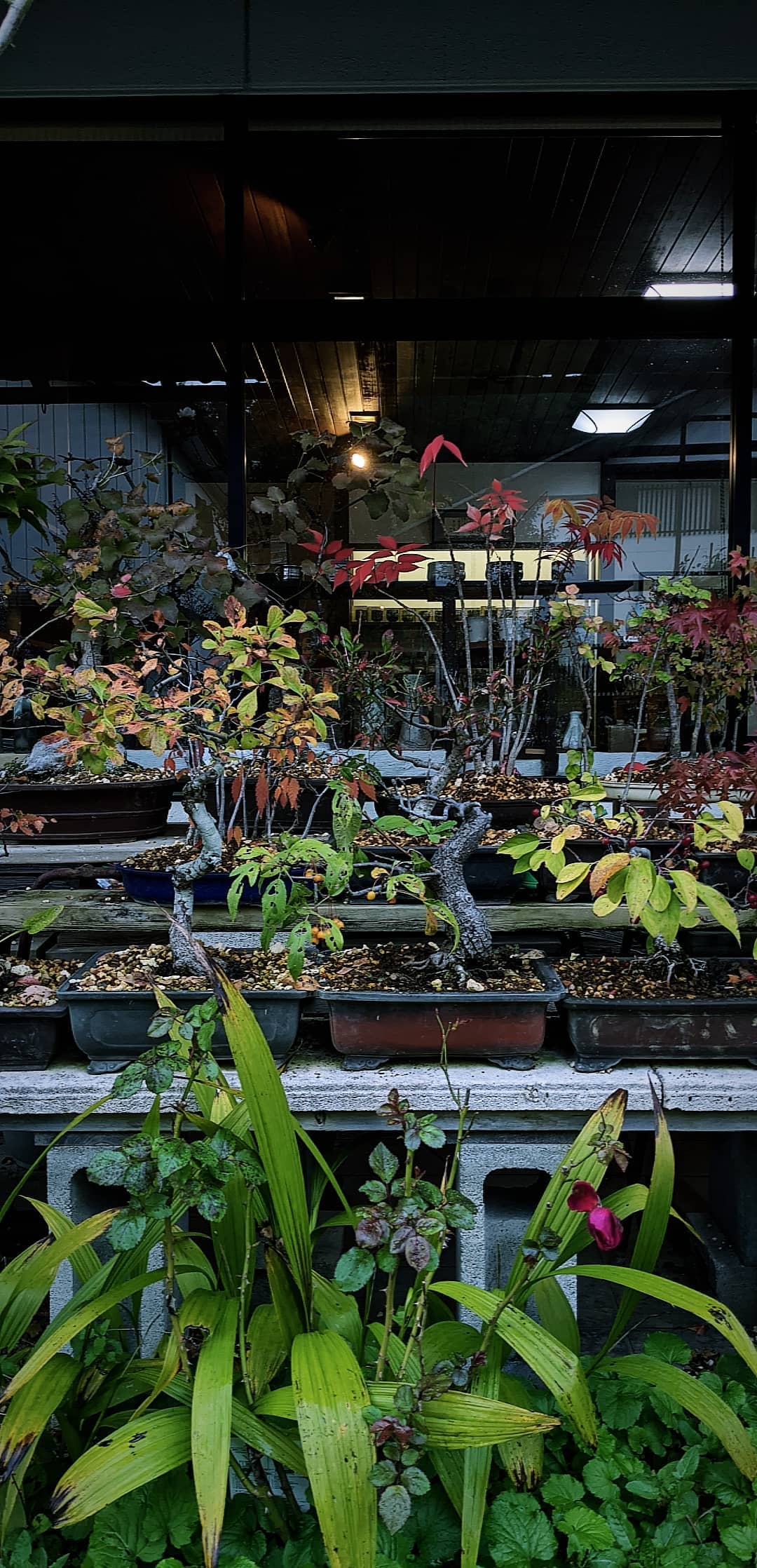 Image for post 1604403770