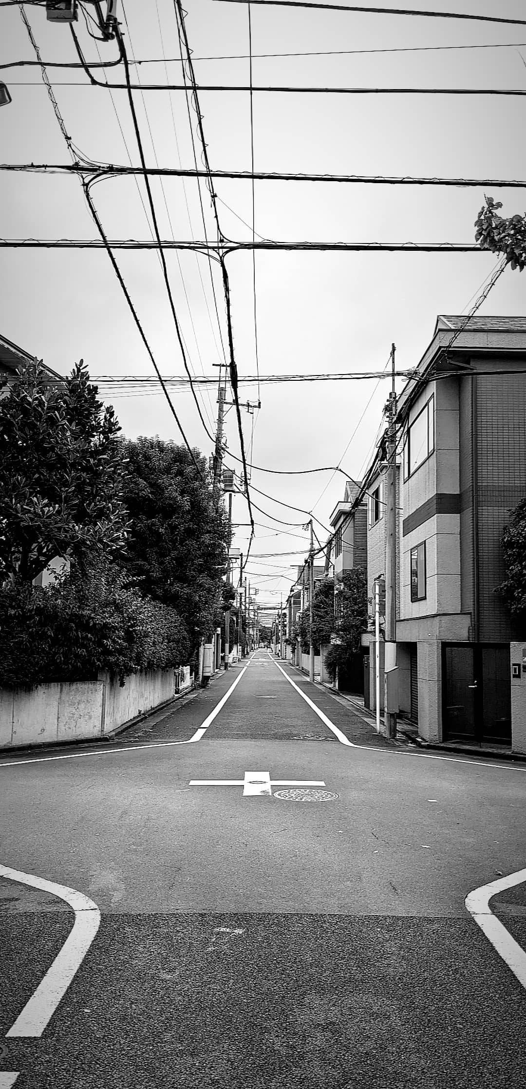 Image for post 1604404005