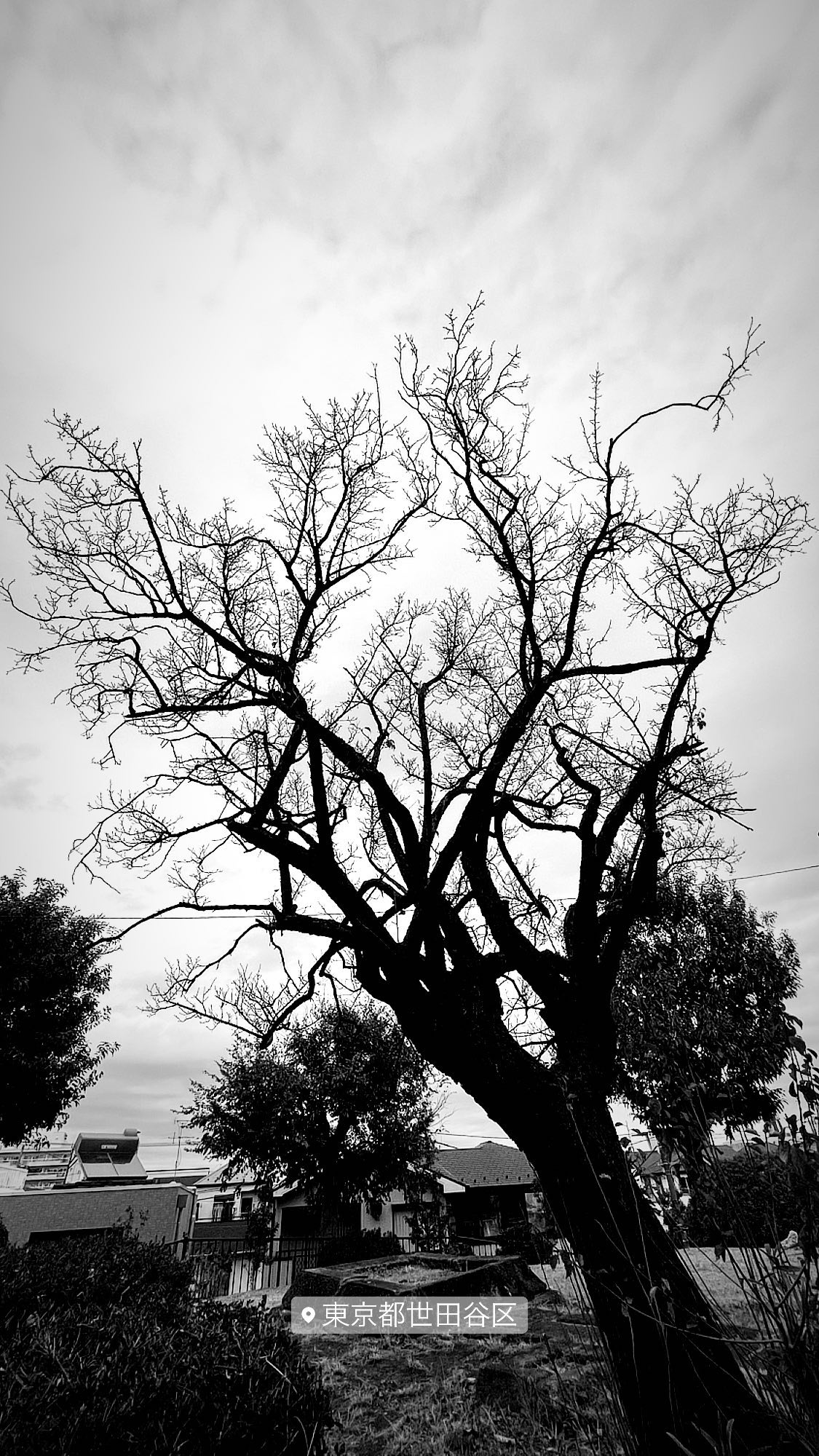 Image for post 1606640193