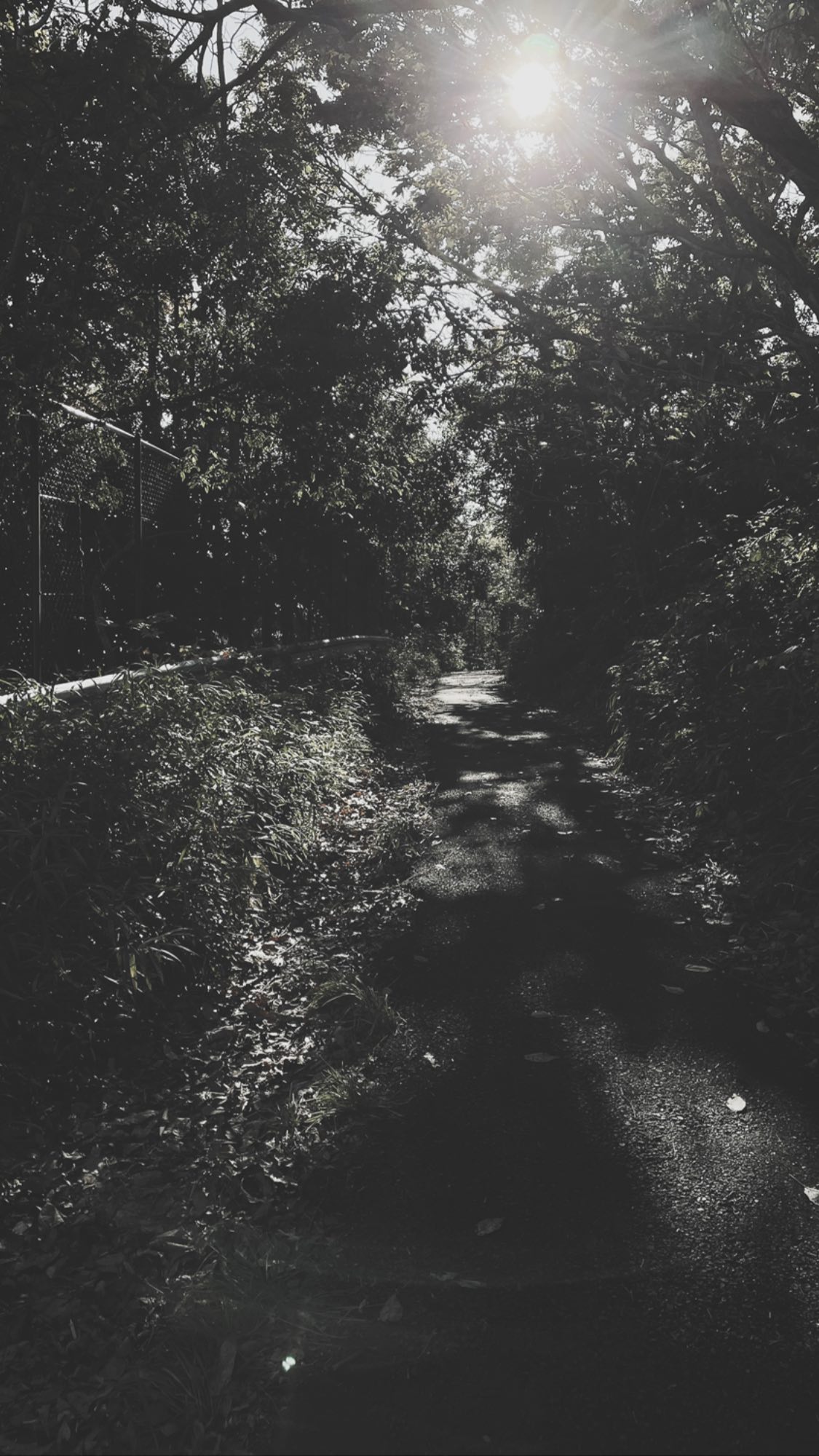 Image for post 1607260290