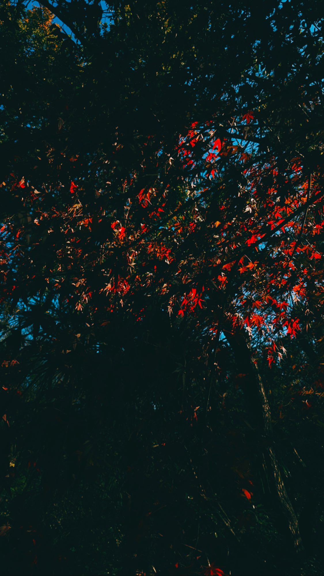 Image for post 1607260347