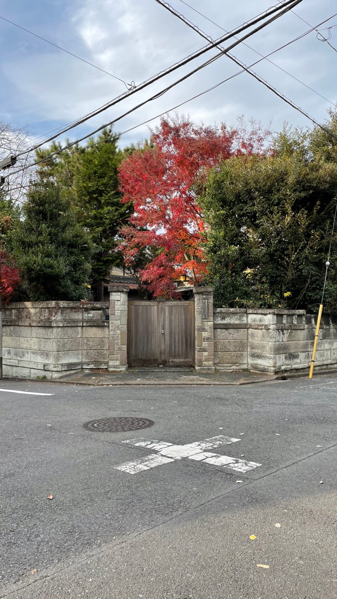 Image for post 1607788401
