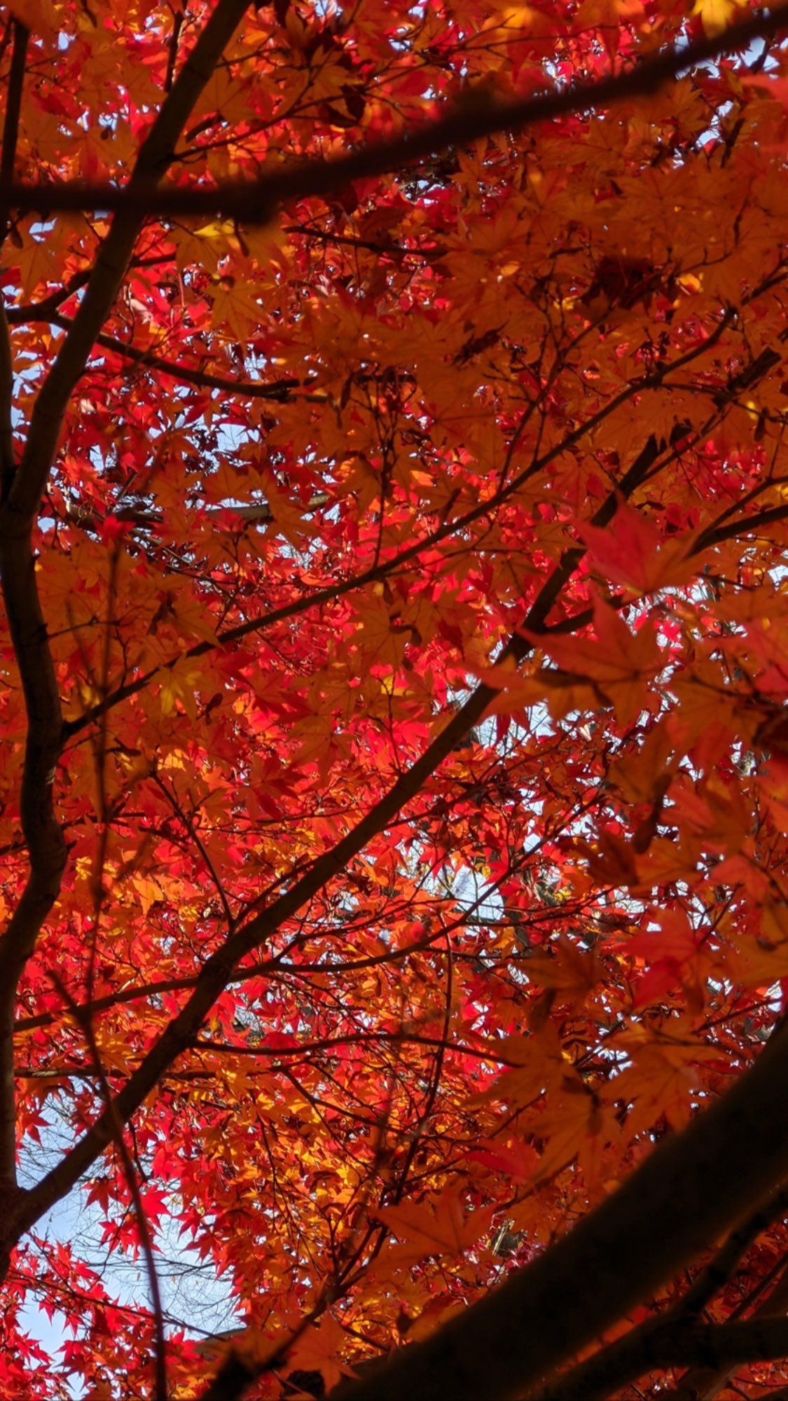 Image for post 1607839712