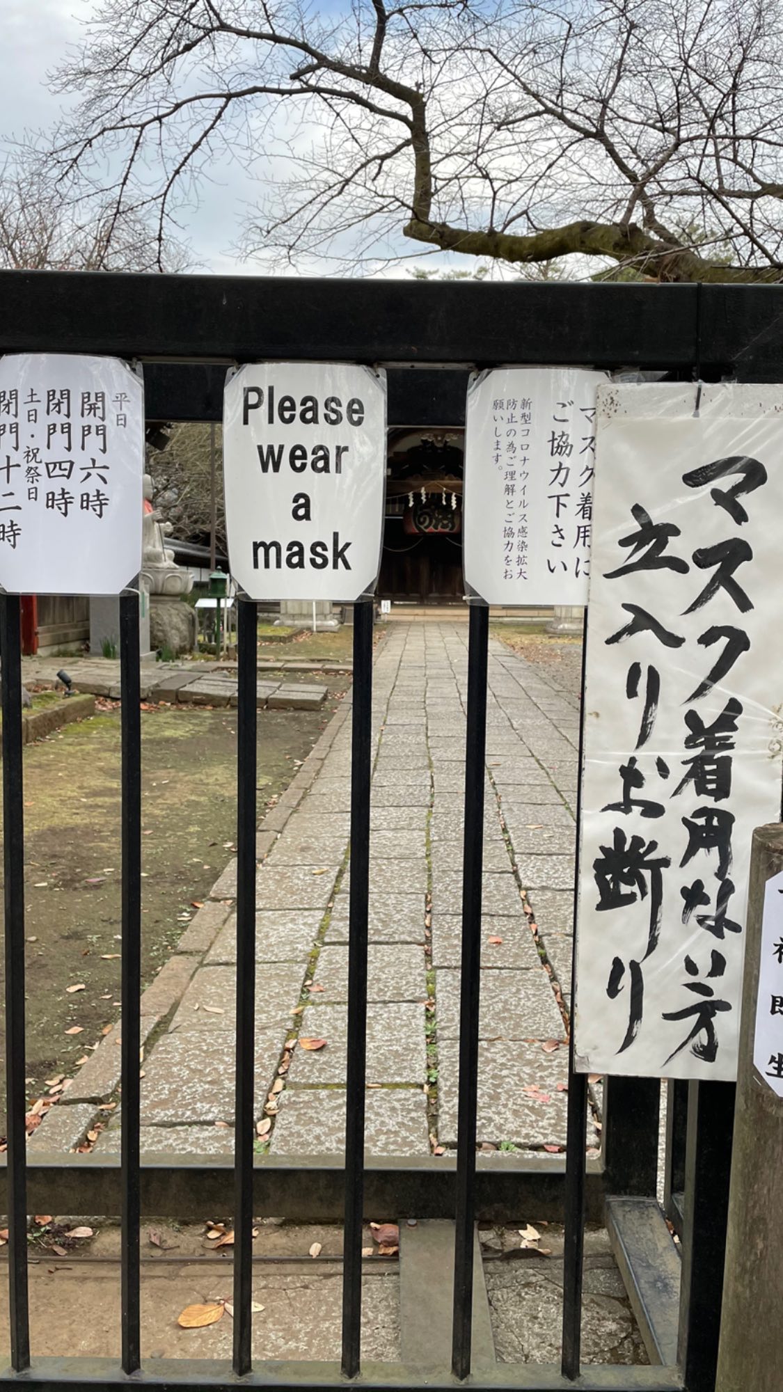 Image for post 1607788394