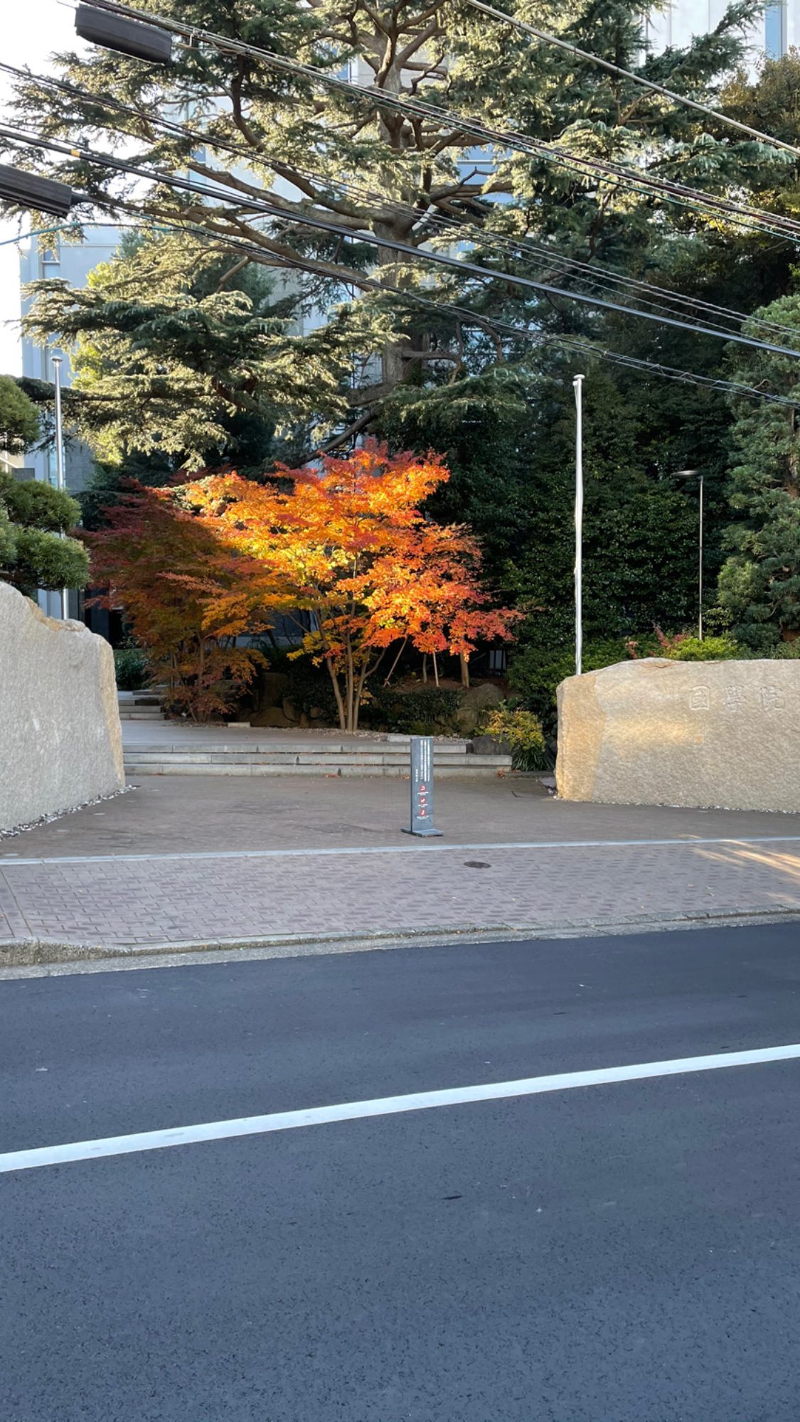 Image for post 1608559173