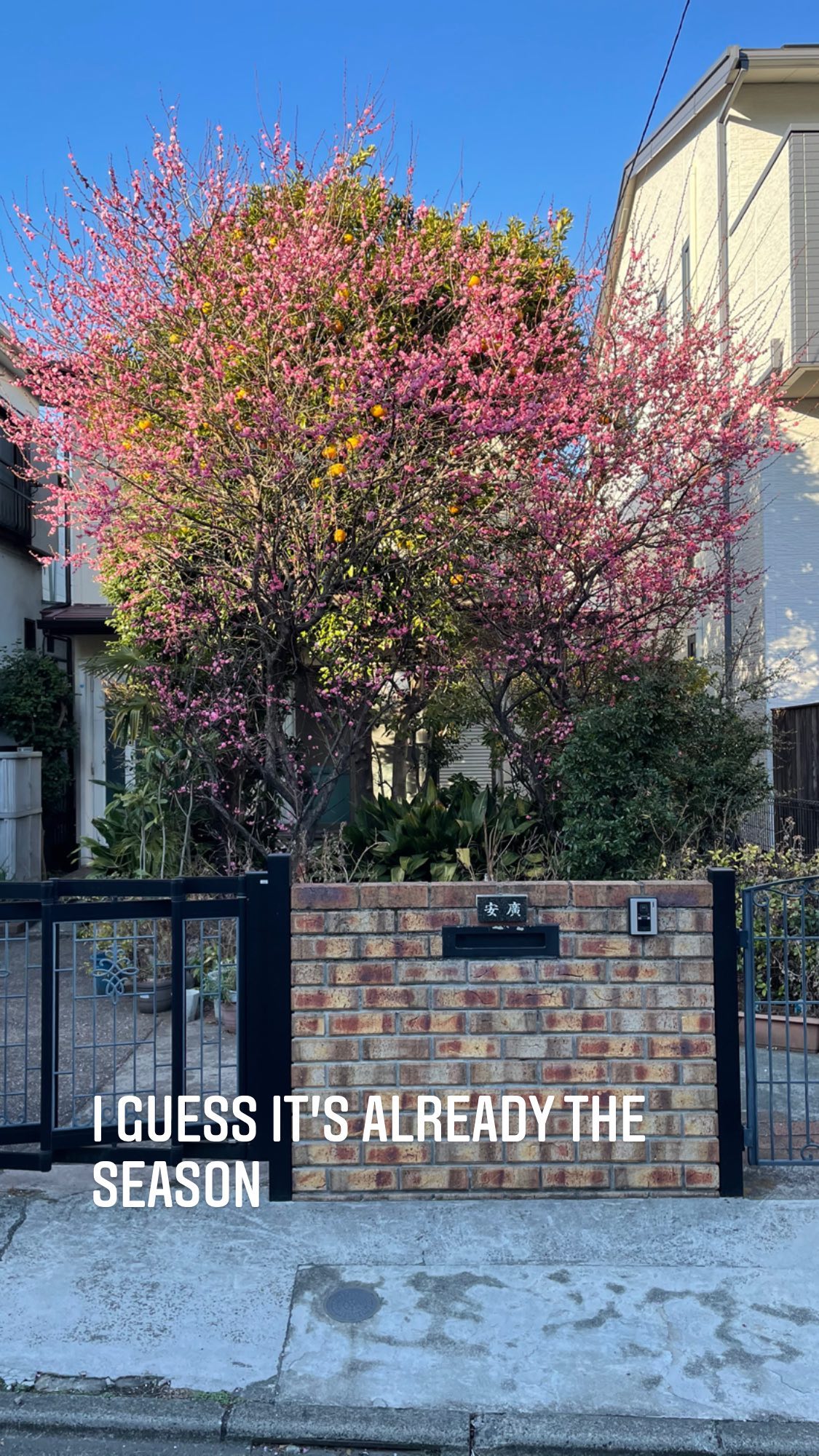 Image for post 1612181132