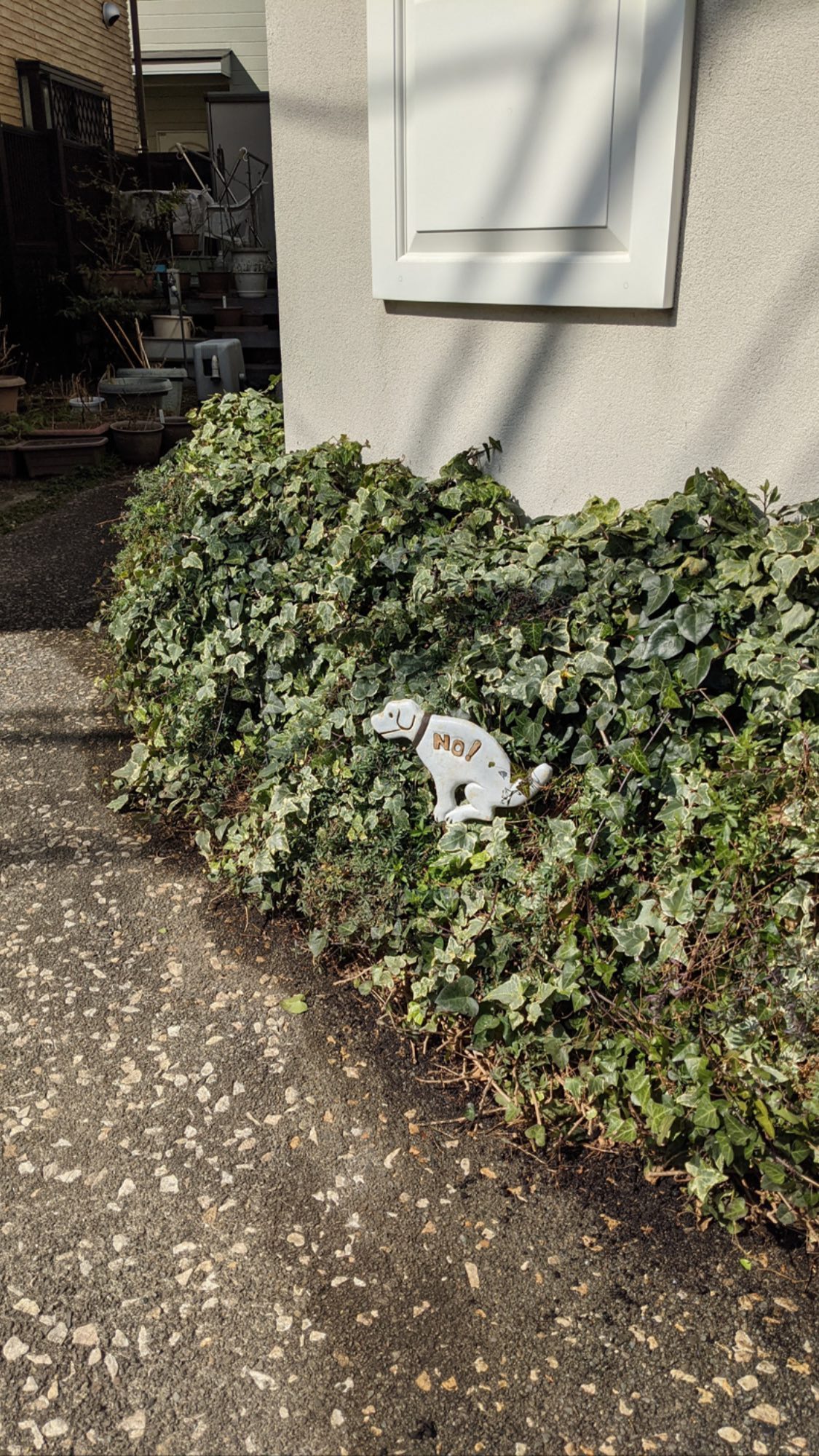 Image for post 1614607959
