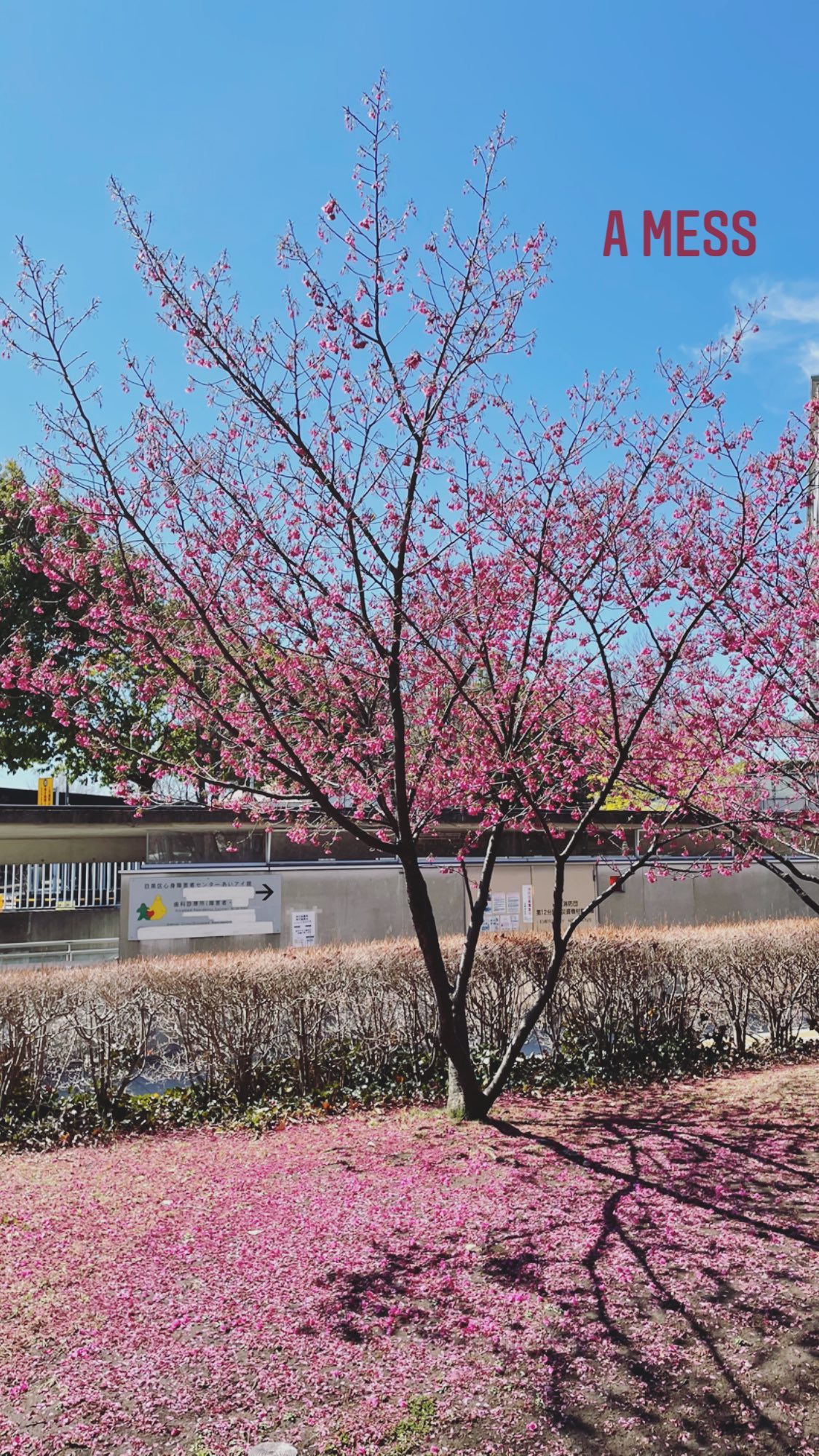 Image for post 1615812079