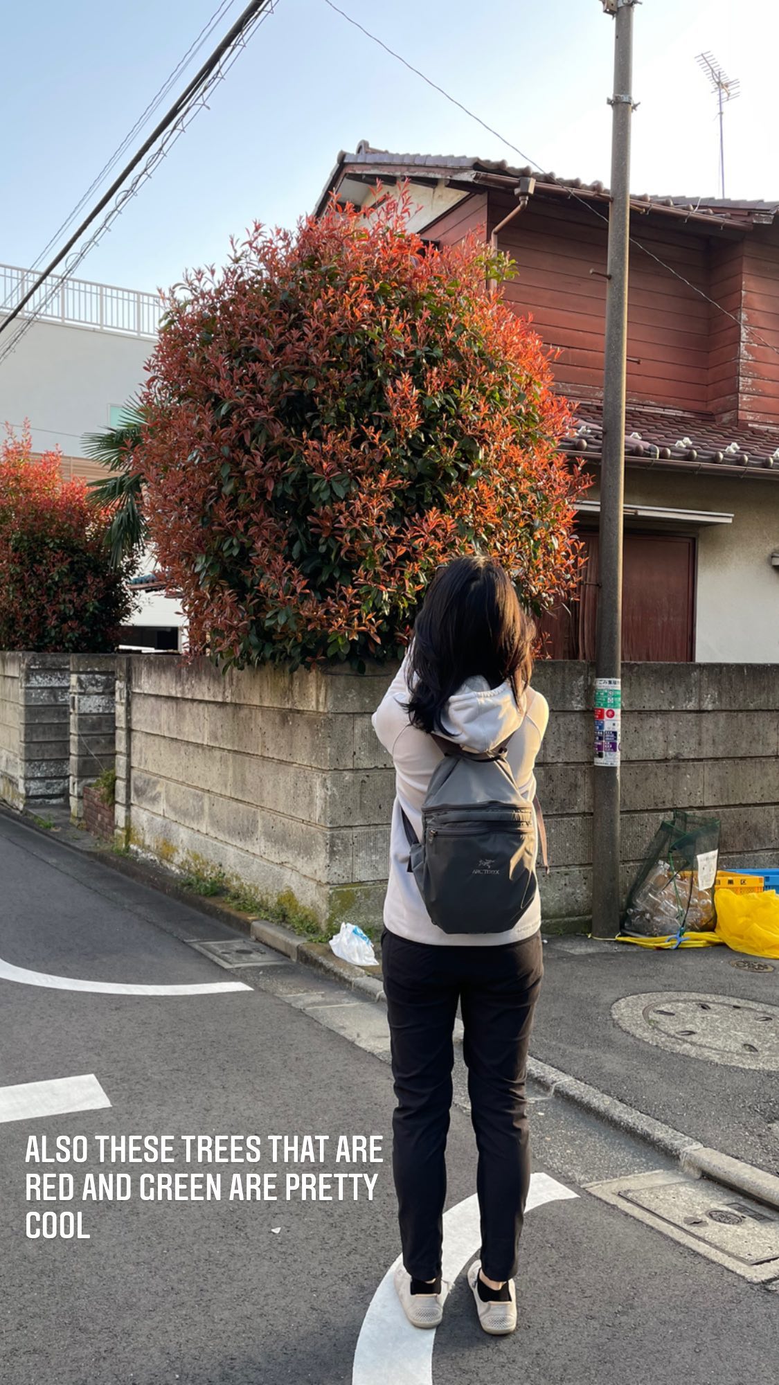 Image for post 1616062809