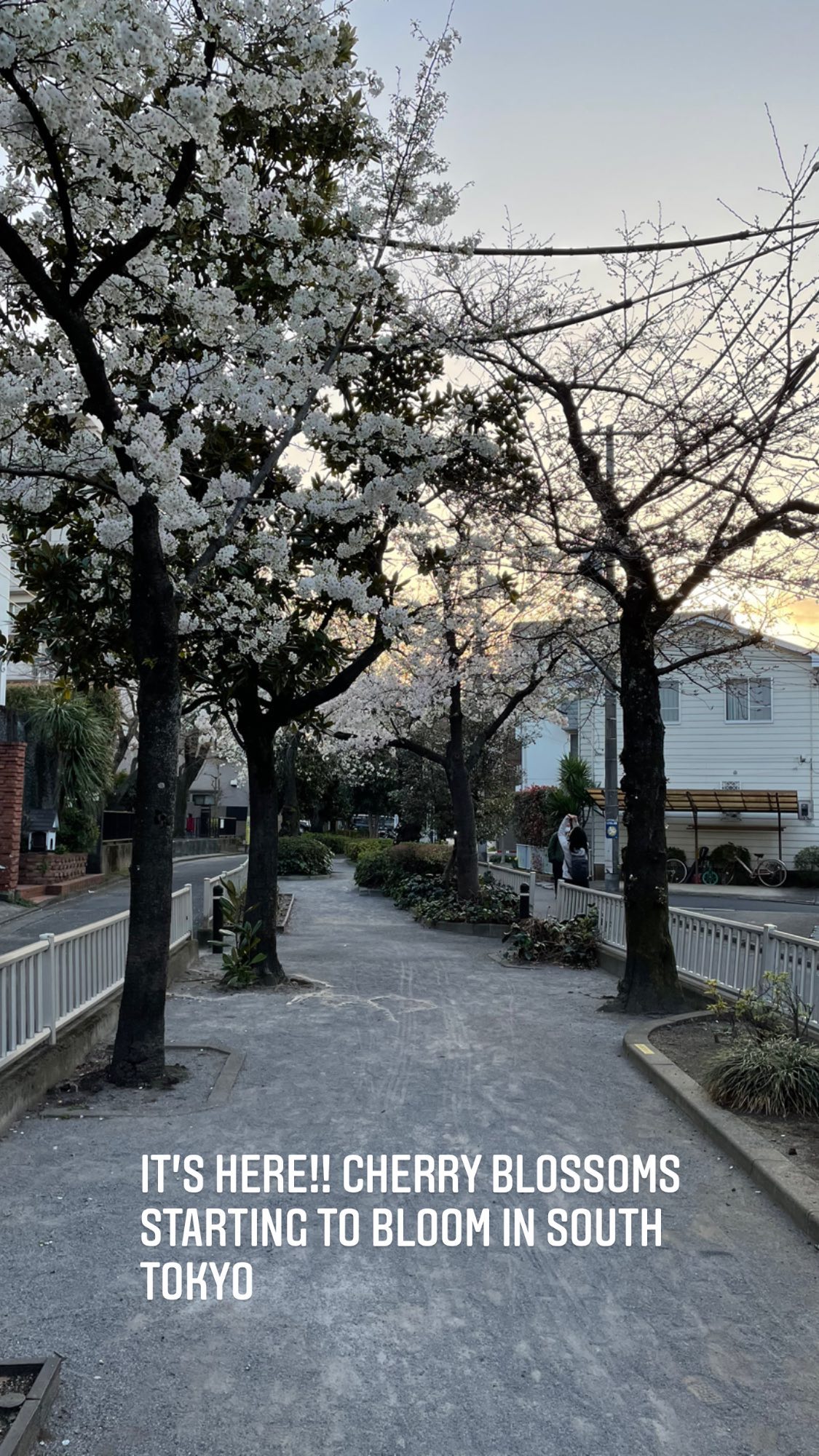 Image for post 1616062776