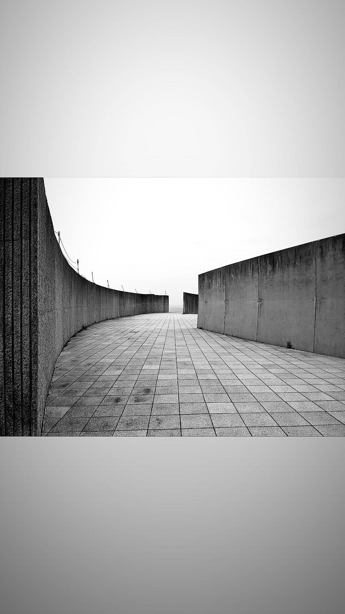 Image for post 1616998305