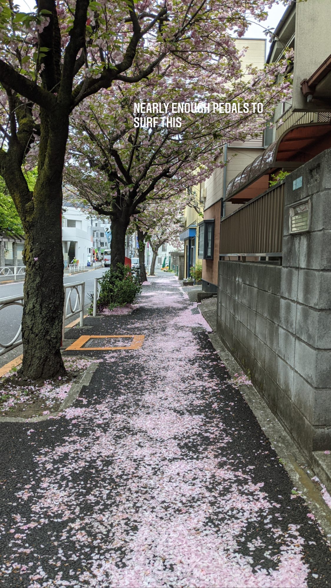 Image for post 1618304701