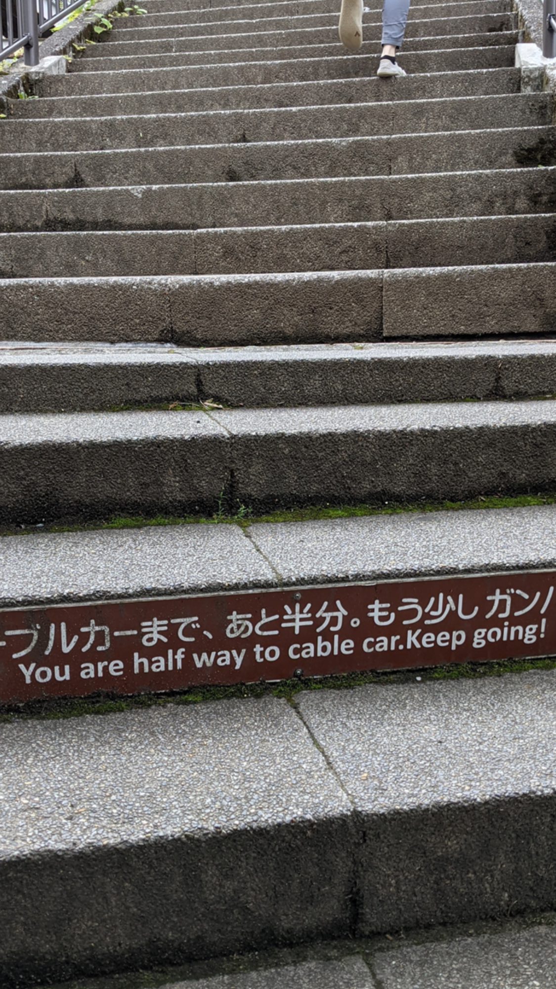 Image for post 1622217190