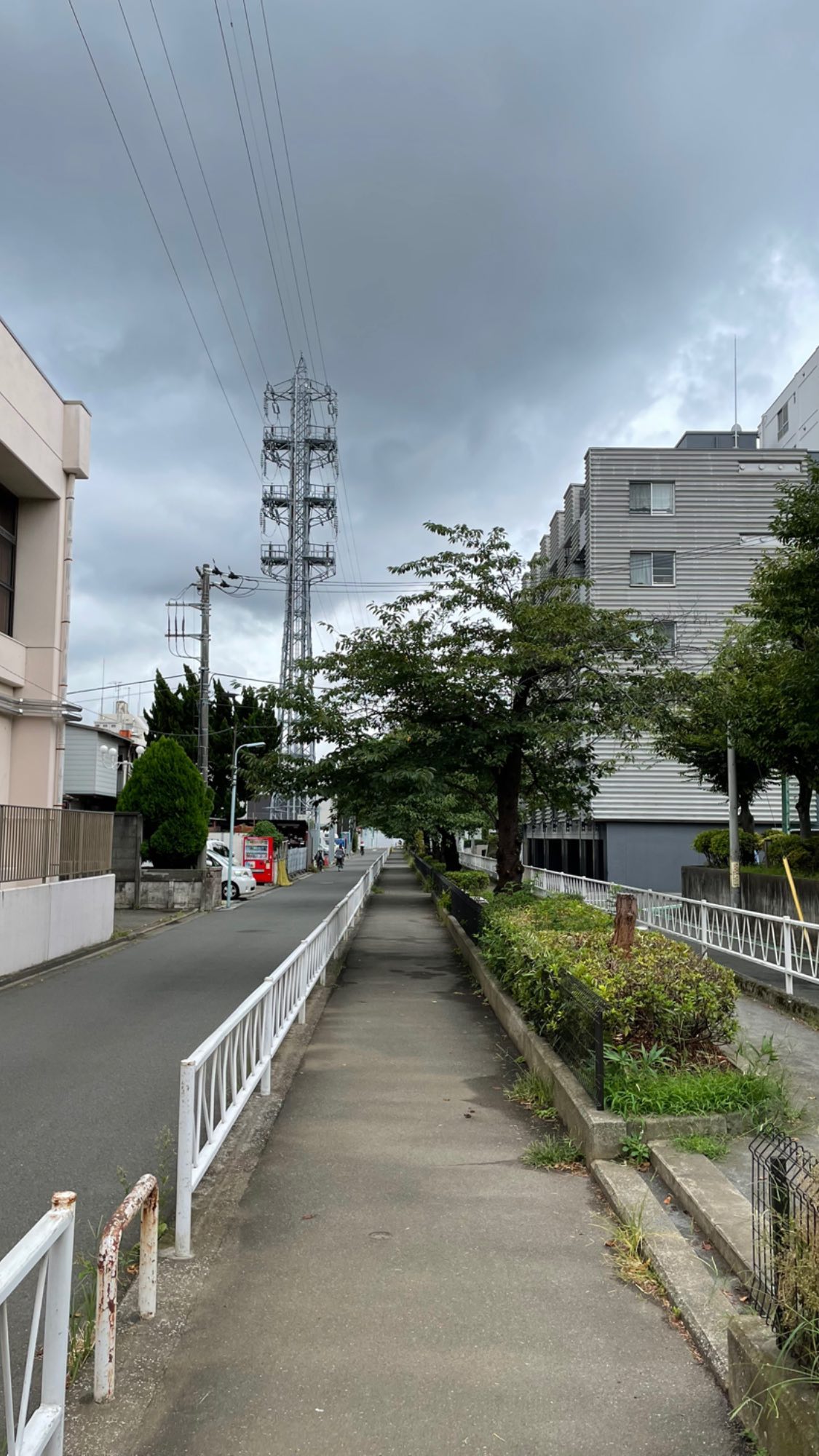 Image for post 1628346615