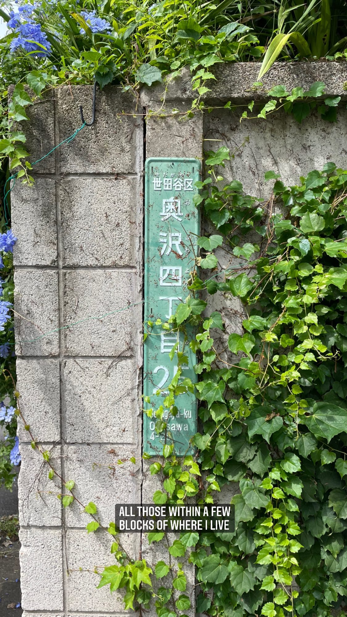 Image for post 1631618060