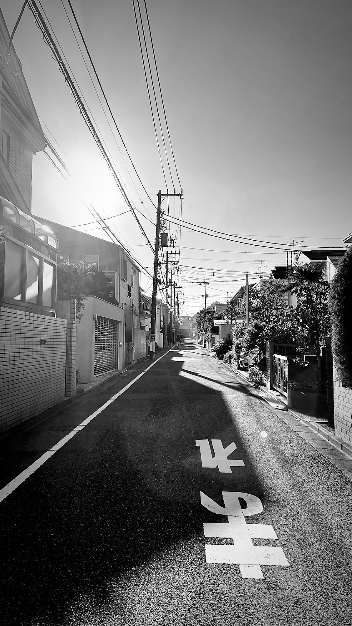 Image for post 1632092302
