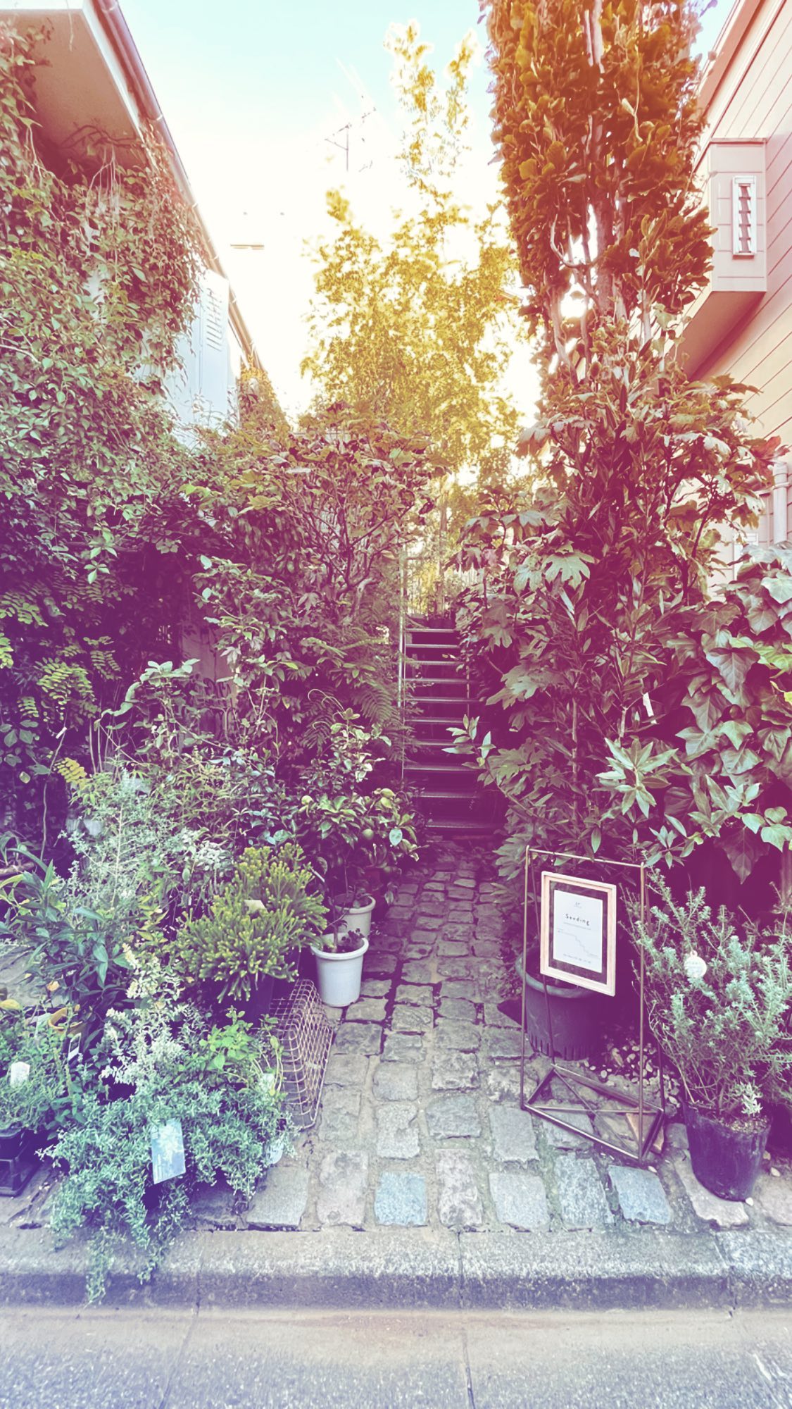 Image for post 1632092348