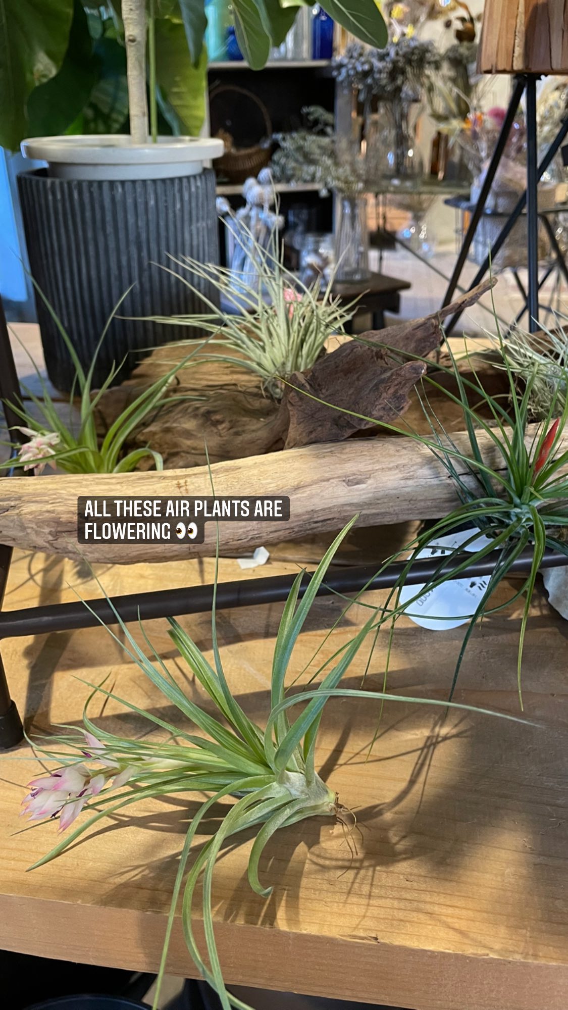 Image for post 1632092372
