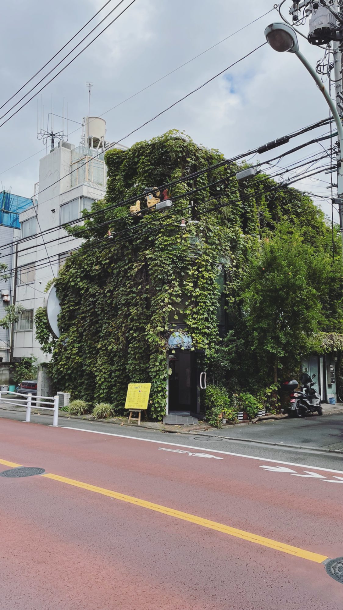 Image for post 1632289545
