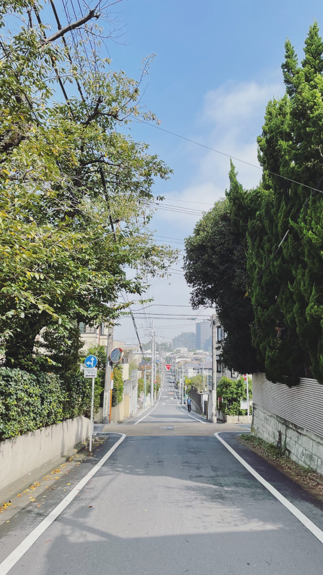 Image for post 1632275466
