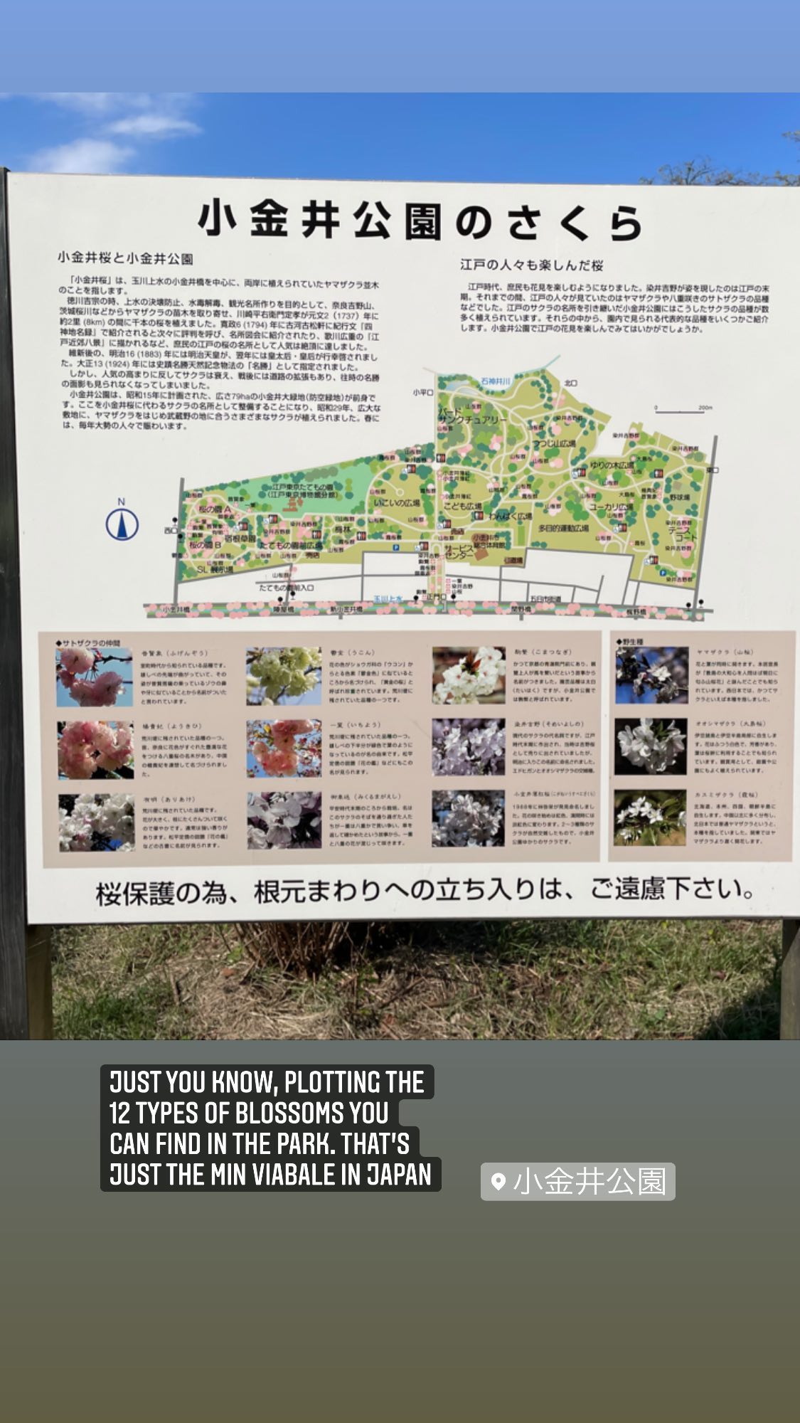 Image for post 1632493096