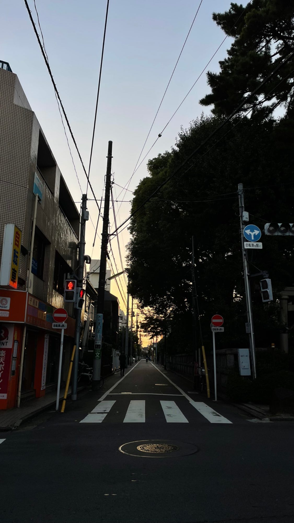 Image for post 1634221260