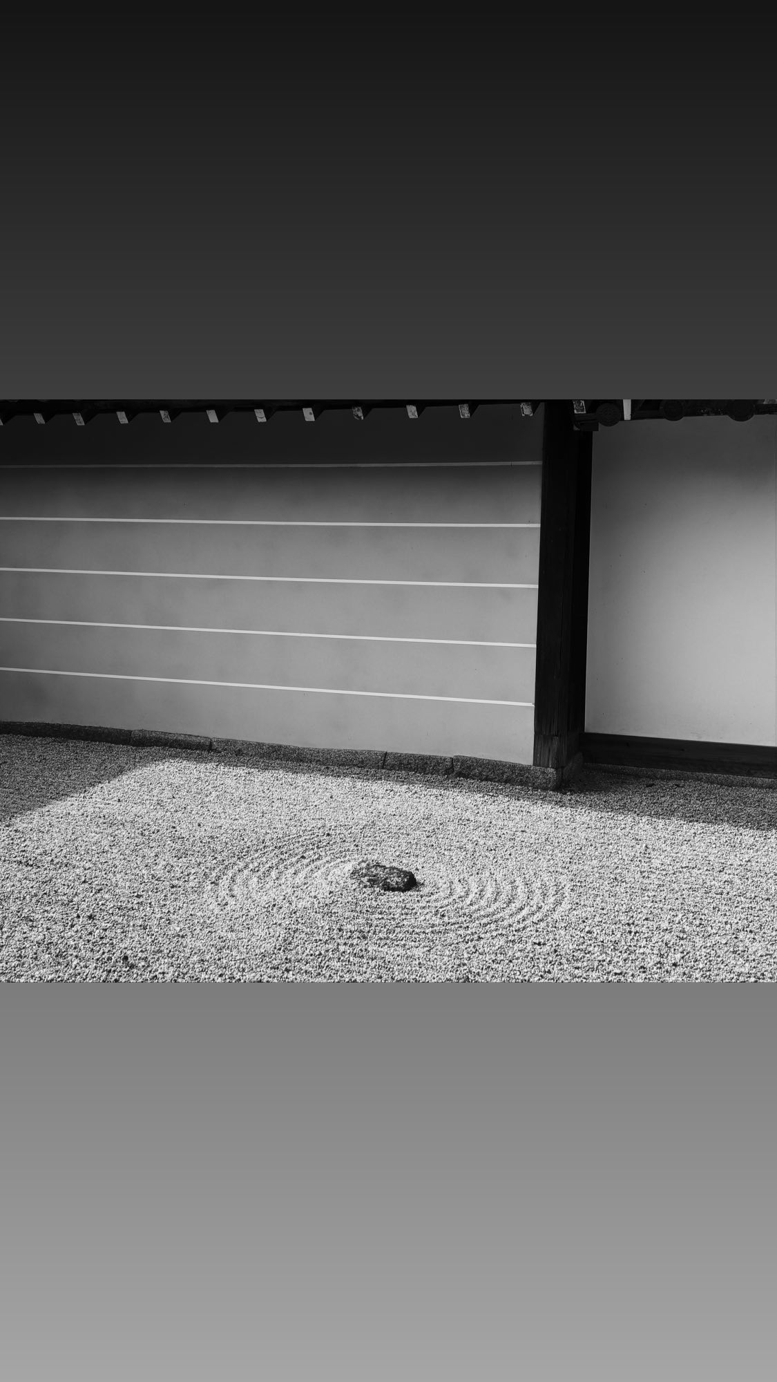 Image for post 1635083462