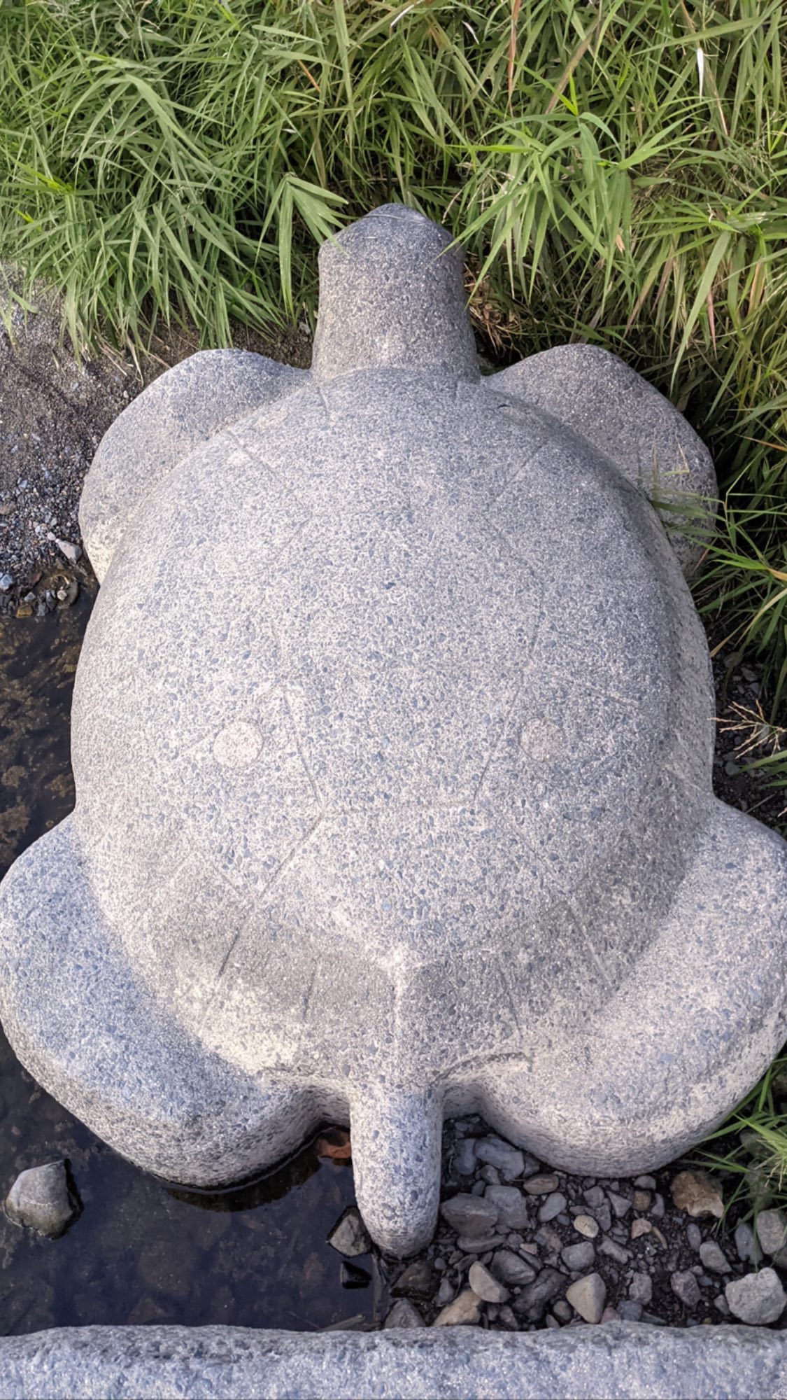 Image for post 1635081588