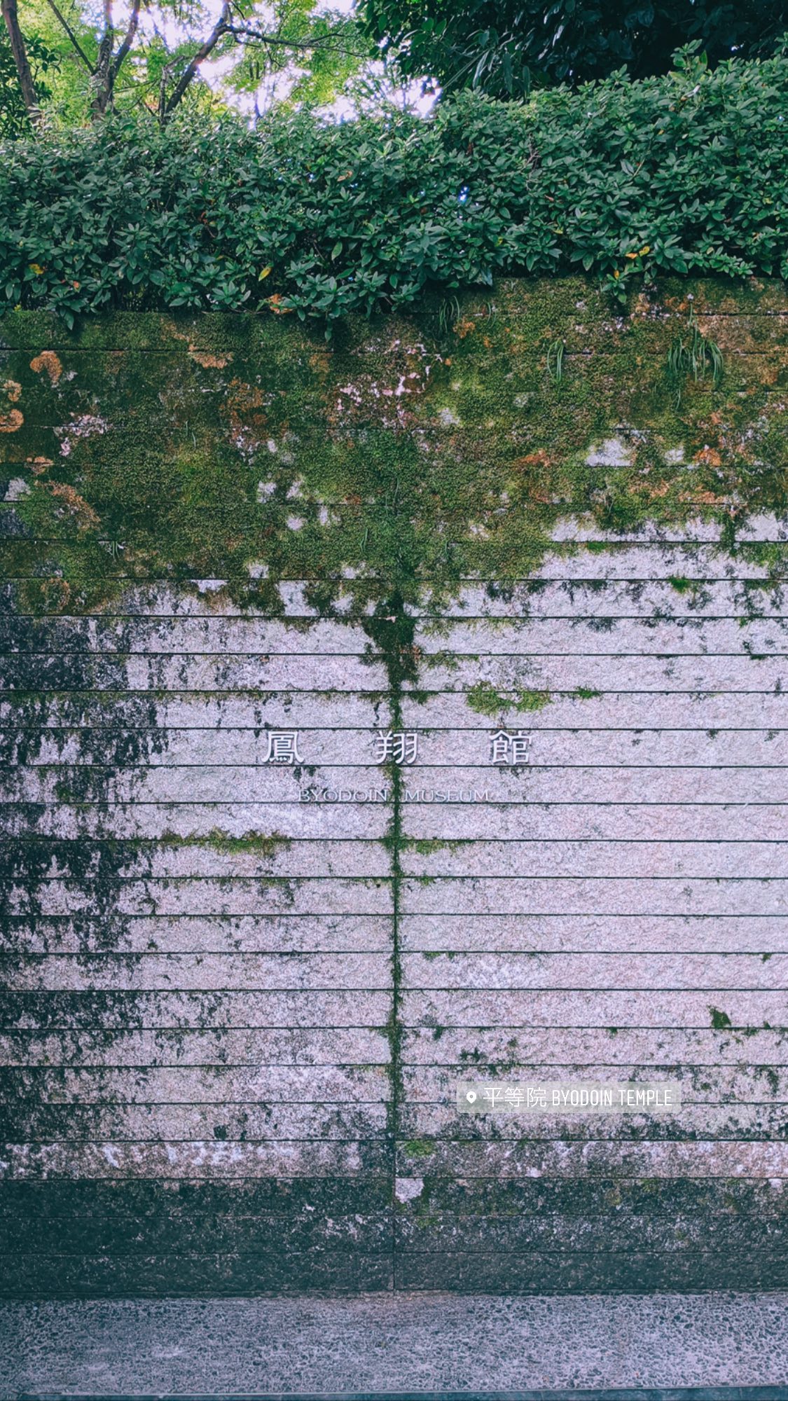 Image for post 1635054766